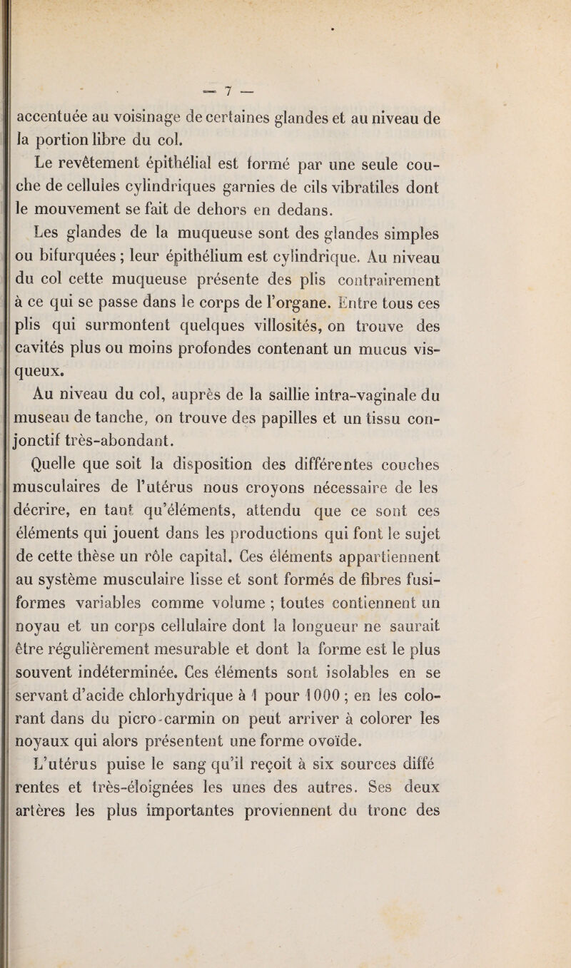 accentuée au voisinage de certaines glandes et au niveau de la portion libre du col Le revêtement épithélial est formé par une seule cou¬ che de cellules cylindriques garnies de cils vibratiles dont le mouvement se fait de dehors en dedans. Les glandes de la muqueuse sont des glandes simples ou bifurquées ; leur épithélium est cylindrique. Au niveau du col cette muqueuse présente des plis contrairement à ce qui se passe dans le corps de Forgane. Entre tous ces plis qui surmontent quelques villosités, on trouve des cavités plus ou moins profondes contenant un mucus vis¬ queux. Au niveau du col, auprès de la saillie intra-vaginale du museau de tanche, on trouve des papilles et un tissu con¬ jonctif très-abondant. Quelle que soit la disposition des différentes couches musculaires de l’utérus nous croyons nécessaire de les décrire, en tant qu’éléments, attendu que ce sont ces éléments qui jouent dans les productions qui font le sujet de cette thèse un rôle capital. Ces éléments appartiennent au système musculaire lisse et sont formés de fibres fusi¬ formes variables comme volume ; toutes contiennent un noyau et un corps cellulaire dont la longueur ne saurait être régulièrement mesurable et dont la forme est le plus souvent indéterminée. Ces éléments sont isolables en se servant d’acide chlorhydrique à 1 pour 1000 ; en les colo¬ rant dans du picro-carmin on peut arriver à colorer les noyaux qui alors présentent une forme ovoïde. L’utérus puise le sang qu’il reçoit à six sources diffé rentes et très-éloignées les unes des autres. Ses deux artères les plus importantes proviennent du tronc des