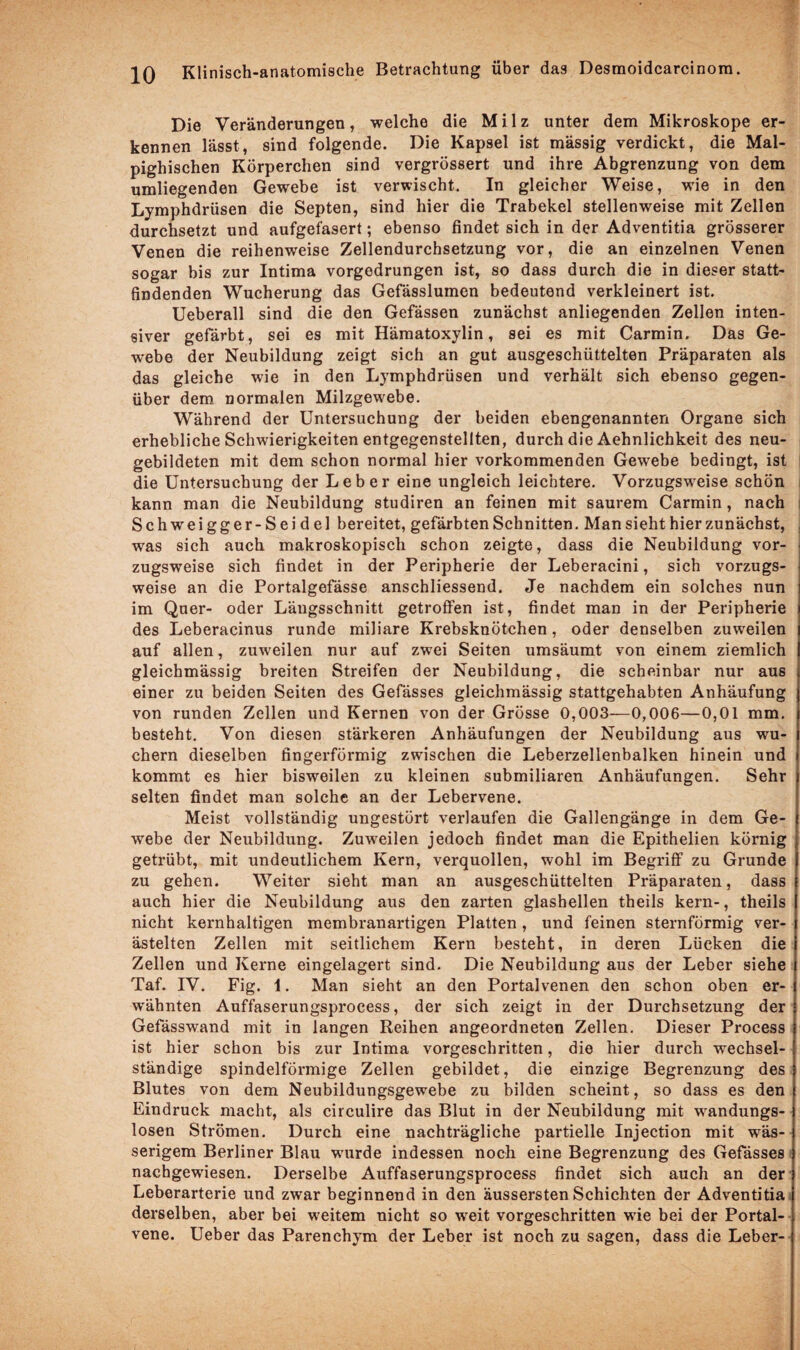 Die Veränderungen, welche die Milz unter dem Mikroskope er¬ kennen lässt, sind folgende. Die Kapsel ist mässig verdickt, die Mal- pighischen Körperchen sind vergrössert und ihre Abgrenzung von dem umliegenden Gewebe ist verwischt. In gleicher Weise, wie in den Lymphdrüsen die Septen, sind hier die Trabekel stellenweise mit Zellen durchsetzt und aufgefasert; ebenso findet sich in der Adventitia grösserer Venen die reihenweise Zellendurchsetzung vor, die an einzelnen Venen sogar bis zur Intima vorgedrungen ist, so dass durch die in dieser statt¬ findenden Wucherung das Gefässlumen bedeutend verkleinert ist. Ueberall sind die den Gefässen zunächst anliegenden Zellen inten¬ siver gefärbt, sei es mit Hämatoxylin, sei es mit Carmin. Das Ge¬ webe der Neubildung zeigt sich an gut ausgeschüttelten Präparaten als das gleiche wie in den Lymphdrüsen und verhält sich ebenso gegen¬ über dem normalen Milzgewebe. Während der Untersuchung der beiden ebengenannten Organe sich erhebliche Schwierigkeiten entgegenstellten, durch die Aehnlichkeit des neu¬ gebildeten mit dem schon normal hier vorkommenden Gewebe bedingt, ist die Untersuchung der Leber eine ungleich leichtere. Vorzugsweise schön kann man die Neubildung studiren an feinen mit saurem Carmin, nach Schweigger-Seidel bereitet, gefärbten Schnitten. Man sieht hier zunächst, was sich auch makroskopisch schon zeigte, dass die Neubildung vor¬ zugsweise sich findet in der Peripherie der Leberacini, sich vorzugs¬ weise an die Portalgefässe anschliessend. Je nachdem ein solches nun im Quer- oder Längsschnitt getroffen ist, findet man in der Peripherie des Leberacinus runde miliare Krebsknötchen, oder denselben zuweilen auf allen, zuweilen nur auf zwei Seiten umsäumt von einem ziemlich gleichmässig breiten Streifen der Neubildung, die scheinbar nur aus einer zu beiden Seiten des Gefässes gleichmässig stattgehabten Anhäufung von runden Zellen und Kernen von der Grösse 0,003—0,006—0,01 mm. besteht. Von diesen stärkeren Anhäufungen der Neubildung aus wu¬ chern dieselben fingerförmig zwischen die Leberzellenbalken hinein und kommt es hier bisweilen zu kleinen submiliaren Anhäufungen. Sehr selten findet man solche an der Lebervene. Meist vollständig ungestört verlaufen die Gallengänge in dem Ge¬ webe der Neubildung. Zuweilen jedoch findet man die Epithelien körnig getrübt, mit undeutlichem Kern, verquollen, wohl im Begriff zu Grunde zu gehen. Weiter sieht man an ausgeschüttelten Präparaten, dass auch hier die Neubildung aus den zarten glashellen theils kern-, theils nicht kernhaltigen membranartigen Platten, und feinen sternförmig ver¬ ästelten Zellen mit seitlichem Kern besteht, in deren Lücken die Zellen und Kerne eingelagert sind. Die Neubildung aus der Leber siehe Taf. IV. Fig. 1. Man sieht an den Portalvenen den schon oben er¬ wähnten Auffaserungsprocess, der sich zeigt in der Durchsetzung der Gefässwand mit in langen Reihen angeordneten Zellen. Dieser Process ist hier schon bis zur Intima vorgeschritten, die hier durch wechsel¬ ständige spindelförmige Zellen gebildet, die einzige Begrenzung des Blutes von dem Neubildungsgewebe zu bilden scheint, so dass es den Eindruck macht, als circulire das Blut in der Neubildung mit wandungs¬ losen Strömen. Durch eine nachträgliche partielle Injection mit wäs¬ serigem Berliner Blau wurde indessen noch eine Begrenzung des Gefässes nachgewiesen. Derselbe Auffaserungsprocess findet sich auch an der Leberarterie und zwar beginnend in den äussersten Schichten der Adventitia derselben, aber bei weitem nicht so weit vorgeschritten wie bei der Portal¬ vene. Ueber das Parenchym der Leber ist noch zu sagen, dass die Leber-