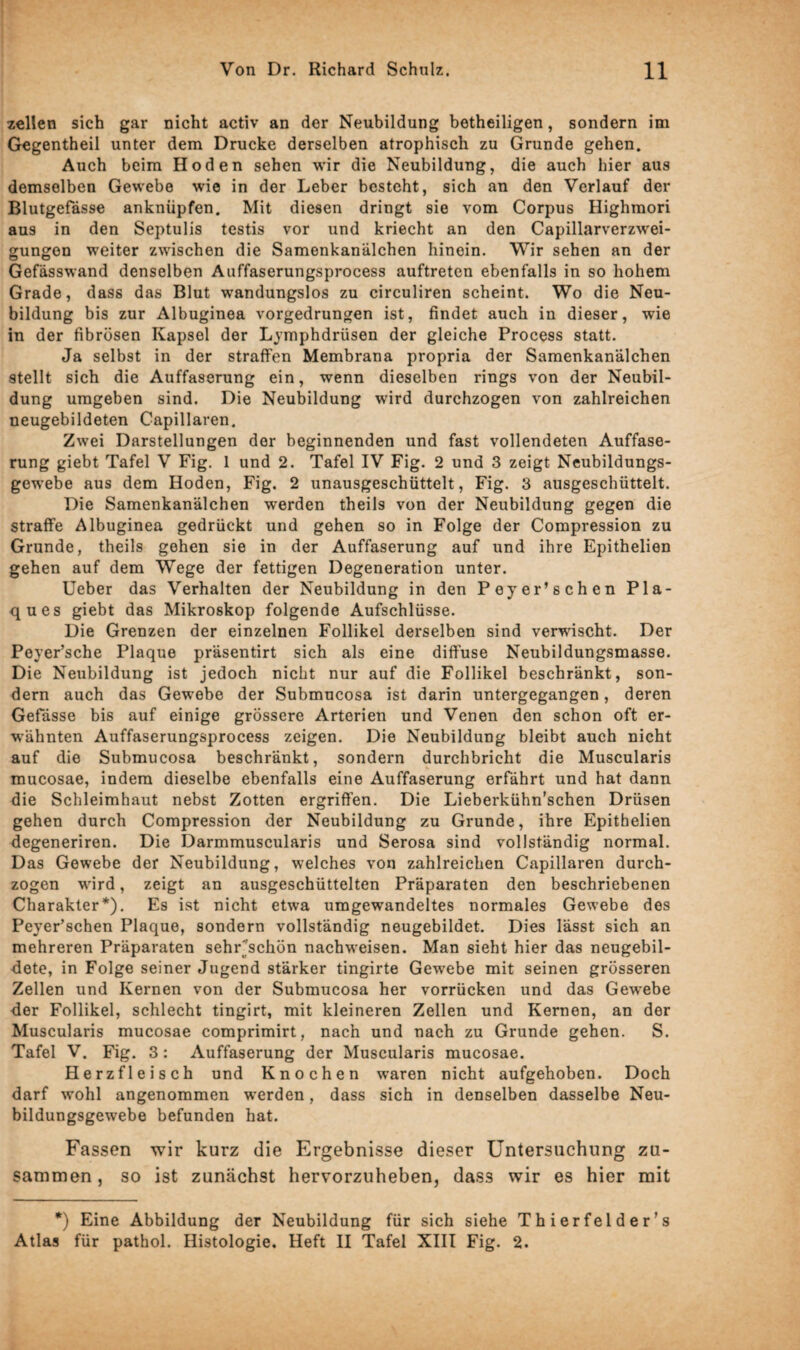 zellen sich gar nicht activ an der Neubildung betheiligen, sondern im Gegentheil unter dem Drucke derselben atrophisch zu Grunde gehen. Auch beim Hoden sehen wir die Neubildung, die auch hier aus demselben Gewebe wie in der Leber besteht, sich an den Verlauf der Blutgefässe anknüpfen. Mit diesen dringt sie vom Corpus Highmori aus in den Septulis testis vor und kriecht an den Capillarverzwei- gungen weiter zwischen die Samenkanälchen hinein. Wir sehen an der Gefässwand denselben Auffaserungsprocess auftreten ebenfalls in so hohem Grade, dass das Blut wandungslos zu circuliren scheint. Wo die Neu¬ bildung bis zur Albuginea vorgedrungen ist, findet auch in dieser, wie in der fibrösen Kapsel der Lymphdriisen der gleiche Process statt. Ja selbst in der straffen Membrana propria der Samenkanälchen stellt sich die Auffaserung ein, wenn dieselben rings von der Neubil¬ dung umgeben sind. Die Neubildung wird durchzogen von zahlreichen neugebildeten Capillaren. Zwei Darstellungen der beginnenden und fast vollendeten Auffase¬ rung giebt Tafel V Fig. 1 und 2. Tafel IV Fig. 2 und 3 zeigt Neubildungs¬ gewebe aus dem Hoden, Fig. 2 unausgeschüttelt, Fig. 3 ausgeschüttelt. Die Samenkanälchen werden theils von der Neubildung gegen die straffe Albuginea gedrückt und gehen so in Folge der Compression zu Grunde, theils gehen sie in der Auffaserung auf und ihre Epithelien gehen auf dem Wege der fettigen Degeneration unter. Ueber das Verhalten der Neubildung in den Peyer’sehen Pla¬ ques giebt das Mikroskop folgende Aufschlüsse. Die Grenzen der einzelnen Follikel derselben sind verwischt. Der Peyer’sche Plaque präsentirt sich als eine diffuse Neubildungsmasse. Die Neubildung ist jedoch nicht nur auf die Follikel beschränkt, son¬ dern auch das Gewebe der Submucosa ist darin untergegangen, deren Gefässe bis auf einige grössere Arterien und Venen den schon oft er¬ wähnten Auffaserungsprocess zeigen. Die Neubildung bleibt auch nicht auf die Submucosa beschränkt, sondern durchbricht die Muscularis mucosae, indem dieselbe ebenfalls eine Auffaserung erfährt und hat dann die Schleimhaut nebst Zotten ergriffen. Die Lieberkühn’schen Drüsen gehen durch Compression der Neubildung zu Grunde, ihre Epithelien degeneriren. Die Darmmuscularis und Serosa sind vollständig normal. Das Gewebe der Neubildung, welches von zahlreichen Capillaren durch¬ zogen wird, zeigt an ausgeschüttelten Präparaten den beschriebenen Charakter*). Es ist nicht etwa umgewandeltes normales Gewebe des Peyer’schen Plaque, sondern vollständig neugebildet. Dies lässt sich an mehreren Präparaten sehr^schön nachweisen. Man sieht hier das neugebil¬ dete, in Folge seiner Jugend stärker tingirte Gewebe mit seinen grösseren Zellen und Kernen von der Submucosa her vorrücken und das Gewebe der Follikel, schlecht tingirt, mit kleineren Zellen und Kernen, an der Muscularis mucosae comprimirt, nach und nach zu Grunde gehen. S. Tafel V. Fig. 3: Auffaserung der Muscularis mucosae. Herz fleisch und Knochen waren nicht aufgehoben. Doch darf wohl angenommen werden, dass sich in denselben dasselbe Neu¬ bildungsgewebe befunden hat. Fassen wir kurz die Ergebnisse dieser Untersuchung zu¬ sammen, so ist zunächst hervorzuheben, dass wir es hier mit *) Eine Abbildung der Neubildung für sich siehe Thierfelder’s