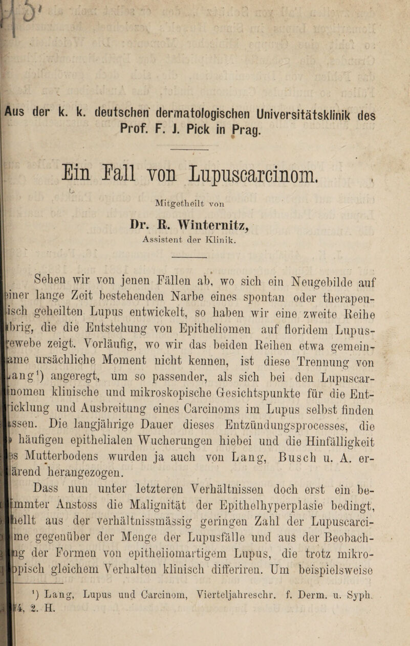 Aus der k. k. deutschen dermatologischen Universitätsklinik des Prof. F. J. Pick in Prag. Ein Eall von Lupuscarcinom. Mitgetheilt von Dr. R. Winternitz, Assistent, der Klinik. Sehen wir von jenen Fällen ab, wo sich ein Neugebilde auf fciner lange Zeit bestehenden Narbe eines spontan oder therapeu¬ tisch geheilten Lupus entwickelt, so haben wir eine zweite Reihe orig, die die Entstehung von Epitheliomen auf floridem Lupus- tewebe zeigt. Vorläufig, wo wir das beiden Reihen etwa gemein¬ same ursächliche Moment nicht kennen, ist diese Trennung von smng1) angeregt, um so passender, als sich bei den Lupuscar¬ inomen klinische und mikroskopische Gesichtspunkte für die Ent¬ wicklung und Ausbreitung eines Carcinoms im Lupus selbst finden Issen. Die langjährige Dauer dieses Entzündungsprocesses, die |i> häufigen epithelialen Wucherungen hiebei und die Hinfälligkeit Jbs Mutterbodens wurden ja auch von Lang, Busch u. A. er- järend herangezogen. Dass nun unter letzteren Verhältnissen doch erst ein be- Ißmmter Anstoss die Malignität der Epithelhyperplasie bedingt, ■pellt aus der verhältnissmässig geringen Zahl der Lupuscarci- me gegenüber der Menge der Lupusfälle und aus der Beobach - Hbg der Formen von epitheliomartigem Lupus, die trotz mikro- Hbpisch gleichem Verhalten klinisch differiren. Um beispielsweise ') Lang, Lupus und Carcinom, Vierteljahreschr. f. Derm. u. Syph.