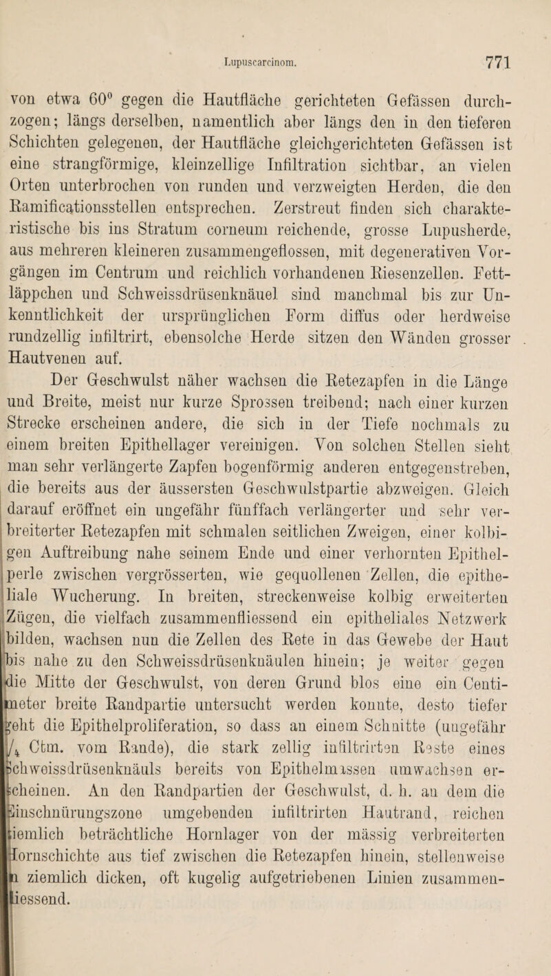 von etwa 60° gegen die Hautfläclie gerichteten Gefässen durch¬ zogen; längs derselben, namentlich aber längs den in den tieferen Schichten gelegenen, der Hautfläclie gleichgerichteten Gefässen ist eine strangförmige, kleinzellige Infiltration sichtbar, an vielen Orten unterbrochen von runden und verzweigten Herden, die den Eamificationsstellen entsprechen. Zerstreut finden sich charakte¬ ristische bis ins Stratum corneum reichende, grosse Lupusherde, aus mehreren kleineren zusammengeflossen, mit degenerativen Vor¬ gängen im Centrum und reichlich vorhandenen Riesenzellen. Fett¬ läppchen und Schweissdrüsenknäuel sind manchmal bis zur Un¬ kenntlichkeit der ursprünglichen Form diffus oder herdweise rundzeilig infiltrirt, ebensolche Herde sitzen den Wänden grosser Haut'venen auf. Der Geschwulst näher wachsen die Retezapfen in die Länge und Breite, meist nur kurze Sprossen treibend; nach einer kurzen Strecke erscheinen andere, die sich in der Tiefe nochmals zu einem breiten Epithellager vereinigen. Von solchen Stellen sieht man sehr verlängerte Zapfen bogenförmig anderen entgegenstreben, die bereits aus der äussersten Geschwulstpartie abzweigen. Gleich darauf eröffnet ein ungefähr fünffach verlängerter und sehr ver¬ breiterter Retezapfen mit schmalen seitlichen Zweigen, einer kolbi- gen Auftreibung nahe seinem Ende und einer verhornten Epithel¬ perle zwischen vergrösserten, wie gequollenen Zellen, die epithe¬ liale Wucherung. In breiten, streckenweise kolbig erweiterten Zügen, die vielfach zusammenfliessend ein epitheliales Netzwerk bilden, wachsen nun die Zellen des Rete in das Gewebe der Haut bis nahe zu den Schweissdrüsenknäulen hineiu; je weiter gegen die Mitte der Geschwulst, von deren Grund blos eine ein Centi- neter breite Randpartie untersucht werden konnte, desto tiefer geht die Epithelproliferation, so dass an einem Schnitte (ungefähr /4 Cbm. vom Rande), die stark zellig infiltrirten Reste eines Schweissdrüsenknäuls bereits von Epithel missen umwachsen er¬ scheinen. An den Randpartien der Geschwulst, d. h. au dem die Sinschnürungszone umgebenden infiltrirten Hautrand, reichen jiemlich beträchtliche Hornlager von der massig verbreiterten Eornschichte aus tief zwischen die Retezapfen hinein, stellenweise b ziemlich dicken, oft kugelig aufgetriebenen Linien zusammen- liessend.
