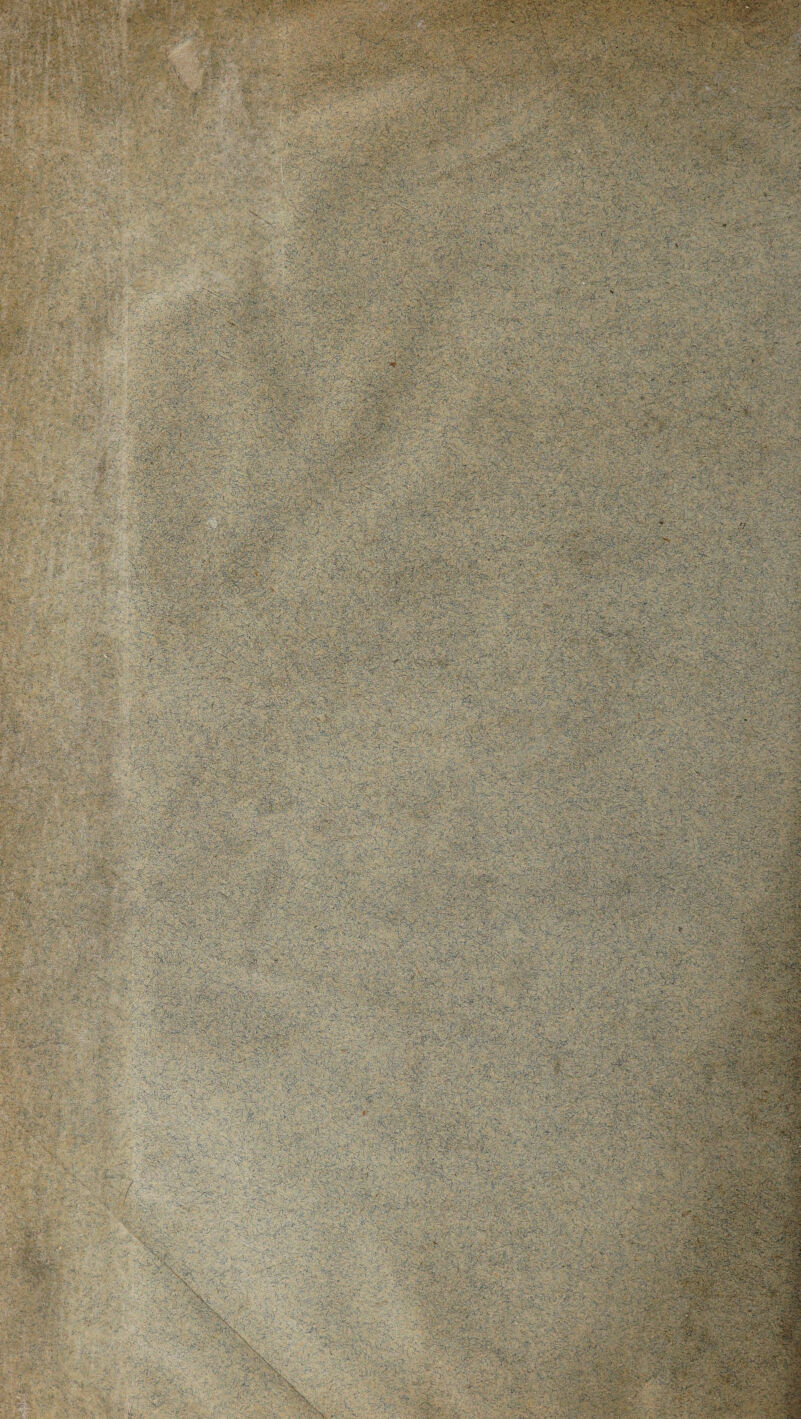 mMU MHM -i^^K-vS. ...:v;'S ; w**8r lijfe . , 3;:ffe,S-S...... . ;- > -'HV'-' -'•>.T; >' 's it.-s y':-'-? »hpi - -, .y ' 1 ß • Ü ' fe*l§| # 11 >• s;,:-. ■, .*.-.'.s . ,.- -■ . ' - ■-■. .■■■'.- -,-- ■••„•■ - ■'- . . -> •■«.*■• ■,.•-?■■ . gSü@V -• •o .- „vov-syv:^ » - ■ ^ r > •' ■'; , ;v--‘..i-: ■ ■■ -yy-,. c* HI ■' ...r. v>% ■ ■ '- * ... '>*«• ■ -, - ■■ ■$*? >-’-■ P