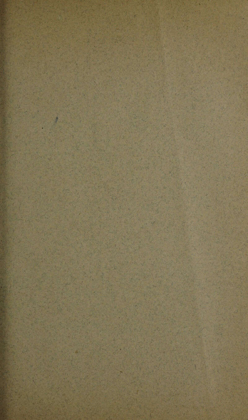 Vï- - ■ V'^ ■ H • ?A ■ ■ 1* •; 1 ■f -.' iVvr L' . •