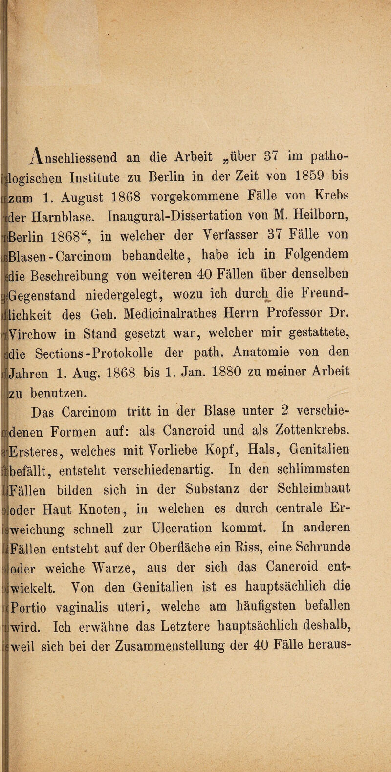 Anschliessend an die Arbeit „über 37 im patho- ogischen Institute zu Berlin in der Zeit von 1859 bis zum 1. August 1868 vorgekommene Fälle von Krebs der Harnblase. Inaugural-Dissertation von M. Heilborn, i Berlin 1868“, in welcher der Verfasser 37 Fälle von ißBlasen-Carcinom behandelte, habe ich in Folgendem edie Beschreibung von weiteren 40 Fällen über denselben ^Gegenstand niedergelegt, wozu ich durch die Freund¬ lichkeit des Geh. Medicinalrathes Herrn Professor Dr. ilvirchow in Stand gesetzt war, welcher mir gestattete, sdie Sections-Protokolle der path. Anatomie von den i| Jahren 1. Aug. 1868 bis 1. Jan. 1880 zu meiner Arbeit zu benutzen. Das Carcinom tritt in der Blase unter 2 verschie- | denen Formen auf: als Cancroid und als Zottenkrebs. adErsteres, welches mit Vorliebe Kopf, Hals, Genitalien jbefällt, entsteht verschiedenartig. In den schlimmsten iFällen bilden sich in der Substanz der Schleimhaut ioder Haut Knoten, in welchen es durch centrale Ei¬ nweichung schnell zur Ulceration kommt. In anderen Fällen entsteht auf der Oberfläche ein Riss, eine Schrunde (oder weiche Warze, aus der sich das Cancroid ent¬ wickelt. Von den Genitalien ist es hauptsächlich die Portio vaginalis uteri, welche am häufigsten befallen i wird. Ich erwähne das Letztere hauptsächlich deshalb, tweil sich bei der Zusammenstellung der 40 Fälle heraus-