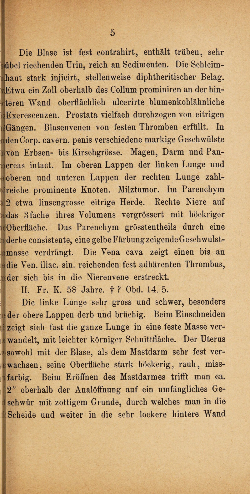 Die Blase ist fest contrahirt, enthält trüben, sehr übel riechenden Urin, reich an Sedimenten. Die Schleim¬ haut stark injicirt, stellenweise diphtheritischer Belag. Etwa ein Zoll oberhalb des Collum prominiren an der hin¬ teren Wand oberflächlich ulcerirte blumenkohlähnliche ^Excrescenzen. Prostata vielfach durchzogen von eitrigen iGängen. Blasenvenen von festen Thromben erfüllt. In ■ (j denCorp. cavern. penis verschiedene markige Geschwülste jvon Erbsen- bis Kirschgrösse. Magen, Darm und Pan- ;9creas intact. Im oberen Lappen der linken Lunge und a oberen und unteren Lappen der rechten Lunge zahl- } reiche prominente Knoten. Milztumor. Im Parenchym ii 2 etwa linsengrosse eitrige Herde. Rechte Niere auf 3 das 3fache ihres Volumens vergrössert mit höckriger seOberfläche. Das Parenchym grösstentheils durch eine i derbe consistente, eine gelbeFärbungzeigendeGeschwulst- emasse verdrängt. Die Vena cava zeigt einen bis an • die Ven. iliac. sin. reichenden fest adhärenten Thrombus, ;der sich bis in die Nierenvene erstreckt. II. Fr. K. 58 Jahre, f ? Obd. 14. 5. Die linke Lunge sehr gross und schwer, besonders | der obere Lappen derb und brüchig. Beim Einschneiden t; zeigt sich fast die ganze Lunge in eine feste Masse ver- ]| wandelt, mit leichter körniger Schnittfläche. Der Uterus sowohl mit der Blase, als dem Mastdarm sehr fest ver- wachsen, seine Oberfläche stark höckerig, rauh, miss- i farbig. Beim Eröffnen des Mastdarmes trifft man ca. '2 oberhalb der Analöffnung auf ein umfängliches Ge- i schwür mit zottigem Grunde, durch welches man in die !; Scheide und weiter in die sehr lockere hintere Wand