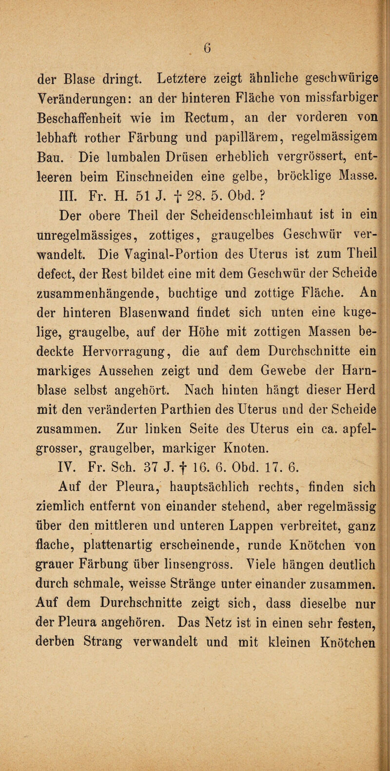 der Blase dringt. Letztere zeigt ähnliche geschwürige Veränderungen: an der hinteren Fläche von missfarbiger Beschaffenheit wie im Rectum, an der vorderen von lebhaft rother Färbung und papillärem, regelmässigem Bau. Die lumbalen Drüsen erheblich vergrössert, ent¬ leeren beim Einschneiden eine gelbe, bröcklige Masse. III. Fr. H. 51 J. f 28. 5. Obd. ? Der obere Theil der Scheidenschleimhaut ist in ein unregelmässiges, zottiges, graugelbes Geschwür ver¬ wandelt. Die Vaginal-Portion des Uterus ist zum Theil defect, der Rest bildet eine mit dem Geschwür der Scheide zusammenhängende, buchtige und zottige Fläche. An der hinteren Blasenwand findet sich unten eine kuge¬ lige, graugelbe, auf der Höhe mit zottigen Massen be¬ deckte Hervorragung, die auf dem Durchschnitte ein markiges Aussehen zeigt und dem Gewebe der Harn¬ blase selbst angehört. Nach hinten hängt dieser Herd mit den veränderten Parthien des Uterus und der Scheide zusammen. Zur linken Seite des Uterus ein ca. apfel¬ grosser, graugelber, markiger Knoten. IV. Fr. Sch. 37 J. f 16. 6. Obd. 17. 6. J Auf der Pleura, hauptsächlich rechts, finden sich ziemlich entfernt von einander stehend, aber regelmässig über den mittleren und unteren Lappen verbreitet, ganz flache, plattenartig erscheinende, runde Knötchen von grauer Färbung über linsengross. Viele hängen deutlich durch schmale, weisse Stränge unter einander zusammen. Auf dem Durchschnitte zeigt sich, dass dieselbe nur der Pleura angehören. Das Netz ist in einen sehr festen, derben Strang verwandelt und mit kleinen Knötchen