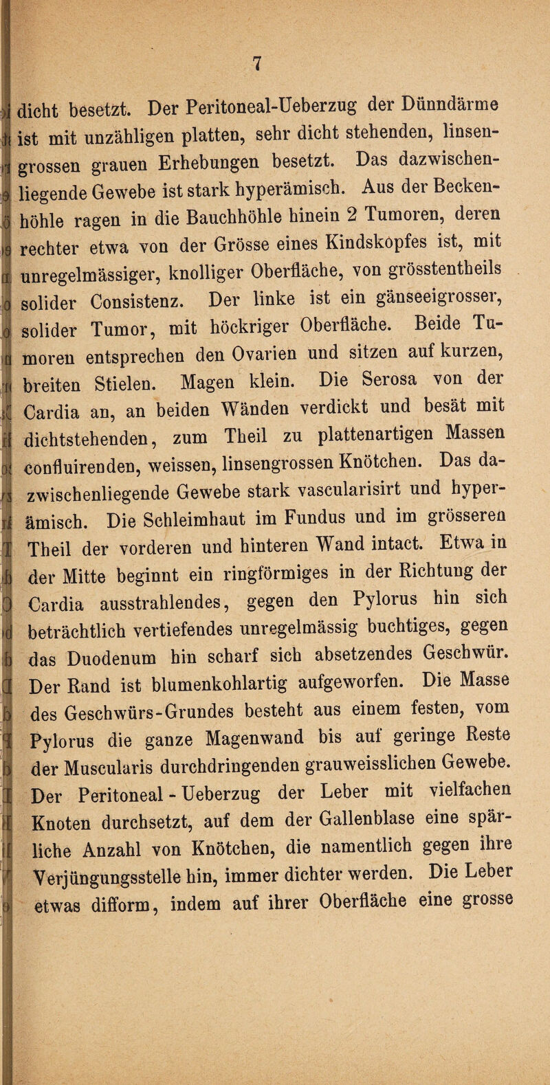 dicht besetzt. Der Peritoneal-Ueberzug der Dünndärme ist mit unzähligen platten, sehr dicht stehenden, linsen grossen grauen Erhebungen besetzt. Das dazwischen¬ liegende Gewebe ist stark hyperämisch. Aus der Becken¬ höhle ragen in die Bauchhöhle hinein 2 Tumoren, deren rechter etwa von der Grösse eines Kindskopfes ist, mit unregelmässiger, knolliger Oberfläche, von grösstentheils solider Consistenz. Der linke ist ein gänseeigrosser, solider Tumor, mit höckriger Oberfläche. Beide Tu¬ moren entsprechen den Ovarien und sitzen auf kurzen, breiten Stielen. Magen klein. Die Serosa von der Cardia an, an beiden Wänden verdickt und besät mit dichtstehenden, zum Theil zu platten artigen Massen confluirenden, weissen, linsengrossen Knötchen. Das da¬ zwischenliegende Gewebe stark vascularisirt und hyper¬ ämisch. Die Schleimhaut im Fundus und im grösseren Theil der vorderen und hinteren Wand intact. Etwa in der Mitte beginnt ein ringförmiges in der Richtung der Cardia ausstrahlendes, gegen den Pylorus hin sich beträchtlich vertiefendes unregelmässig buchtiges, gegen das Duodenum hin scharf sich absetzendes Geschwür. Der Rand ist blumenkohlartig aufgeworfen. Die Masse des Geschwürs-Grundes besteht aus einem festen, vom Pylorus die ganze Magenwand bis auf geringe Reste der Muscularis durchdringenden grauweisslichen Gewebe. Der Peritoneal-Ueberzug der Leber mit vielfachen Knoten durchsetzt, auf dem der Gallenblase eine späi- liche Anzahl von Knötchen, die namentlich gegen ihre Verjüngungsstelle hin, immer dichter werden. Die Leber etwas difform, indem auf ihrer Oberfläche eine grosse .v.
