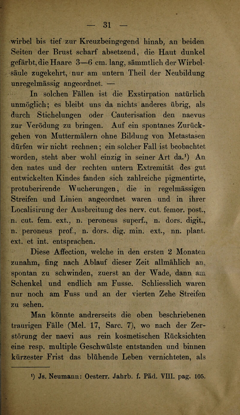 wirbel bis tief zur Kreuzbeingegend hinab, an beiden Seiten der Brust scharf absetzend, die Haut dunkel gefärbt, die Haare 3—6 cm. lang, sämmtlich der Wirbel¬ säule zugekehrt, nur am untern Theil der Neubildung unregelmässig an geordnet. — In solchen Fällen ist die Exstirpation natürlich unmöglich; es bleibt uns da nichts anderes übrig, als durch Stichelungen oder Cauterisation den naevus zur Verödung zu bringen. Auf ein spontanes Zurück¬ gehen von Muttermälern ohne Bildung von Metastasen dürfen wir nicht rechnen; ein solcher Fall ist beobachtet worden, steht aber wohl einzig in seiner Art da.1) An den nates und der rechten untern Extremität des gut | entwickelten Kindes fanden sich zahlreiche pigmentirte, protuberirende Wucherungen, die in regelmässigen Streifen und Linien angeordnet waren und in ihrer Localisirung der Ausbreitung des nerv. cut. femor. post., n. cut. fern, ext., n. peroneus superf., n. dors. digit., n. peroneus prof., n. dors. dig. min. ext., nn. plant, ext. et int. entsprachen. Diese Affection, welche in den ersten 2 Monaten zunahm, fing nach Ablauf dieser Zeit allmählich an, spontan zu schwinden, zuerst an der Wade, dann am Schenkel und endlich am Fusse. Schliesslich waren nur noch am Fuss und an der vierten Zehe Streifen zu sehen. Man könnte andrerseits die oben beschriebenen traurigen Fälle (Mel. 17, Sarc. 7), wo nach der Zer¬ störung der naevi aus rein kosmetischen Rücksichten eine resp. multiple Geschwülste entstanden und binnen kürzester Frist das blühende Leben vernichteten, als