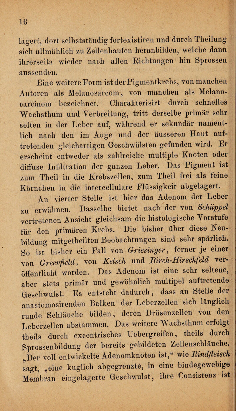 lagert, dort selbstständig fortexistiren und durch Theilung sieb allmählich zu Zellenhaufen heranbilden, welche dann ihrerseits wieder nach allen Richtungen hin Sprossen aussenden. Eine weitere Form ist der Pigmentkrebs, von manchen Autoren als Melanosarcom, von manchen als Melano- carcinom bezeichnet. Charakterisirt durch schnelles Wachsthum und Verbreitung, tritt derselbe primär sehr selten in der Leber auf, während er sekundär nament¬ lich nach den im Auge und der äusseren Haut auf¬ tretenden gleichartigen Geschwülsten gefunden wird. Er erscheint entweder als zahlreiche multiple Knoten oder diffuse Infiltration der ganzen Leber. Das Pigment ist zum Theil in die Krebszellen, zum Theil frei als feine Körnchen in die intercellulare Flüssigkeit abgelagert. An vierter Stelle ist hier das Adenom der Leber zu erwähnen. Dasselbe bietet nach der von Schüppel vertretenen Ansicht gleichsam die histologische Vorstufe für den primären Krebs. Die bisher über diese Neu¬ bildung mitgetheilten Beobachtungen sind sehr spärlich. So ist bisher ein Fall von Griesinger, ferner je einer von Greenfield, von Kelsch und Birch-Hirschfeld ver¬ öffentlicht worden. Das Adenom ist eine sehr seltene, aber stets primär und gewöhnlich multipel auftretende Geschwulst. Es entsteht dadurch, dass an Stelle der anastomosir enden Balken der Leberzellen sich länglich runde Schläuche bilden, deren Drüsenzellen von den Leberzellen abstammen. Das weitere Wachsthum erfolgt theils durch excentrisches Uebergreifen, theils durch Sprossenbildung der bereits gebildeten Zellenschläuche. Der voll entwickelte Adenomknoten ist,“ wie Rindfleisch sagt, „eine kuglich abgegrenzte, in eine bindegewebige ( Membran eingelagerte Geschwulst, ihre Consistenz ist i