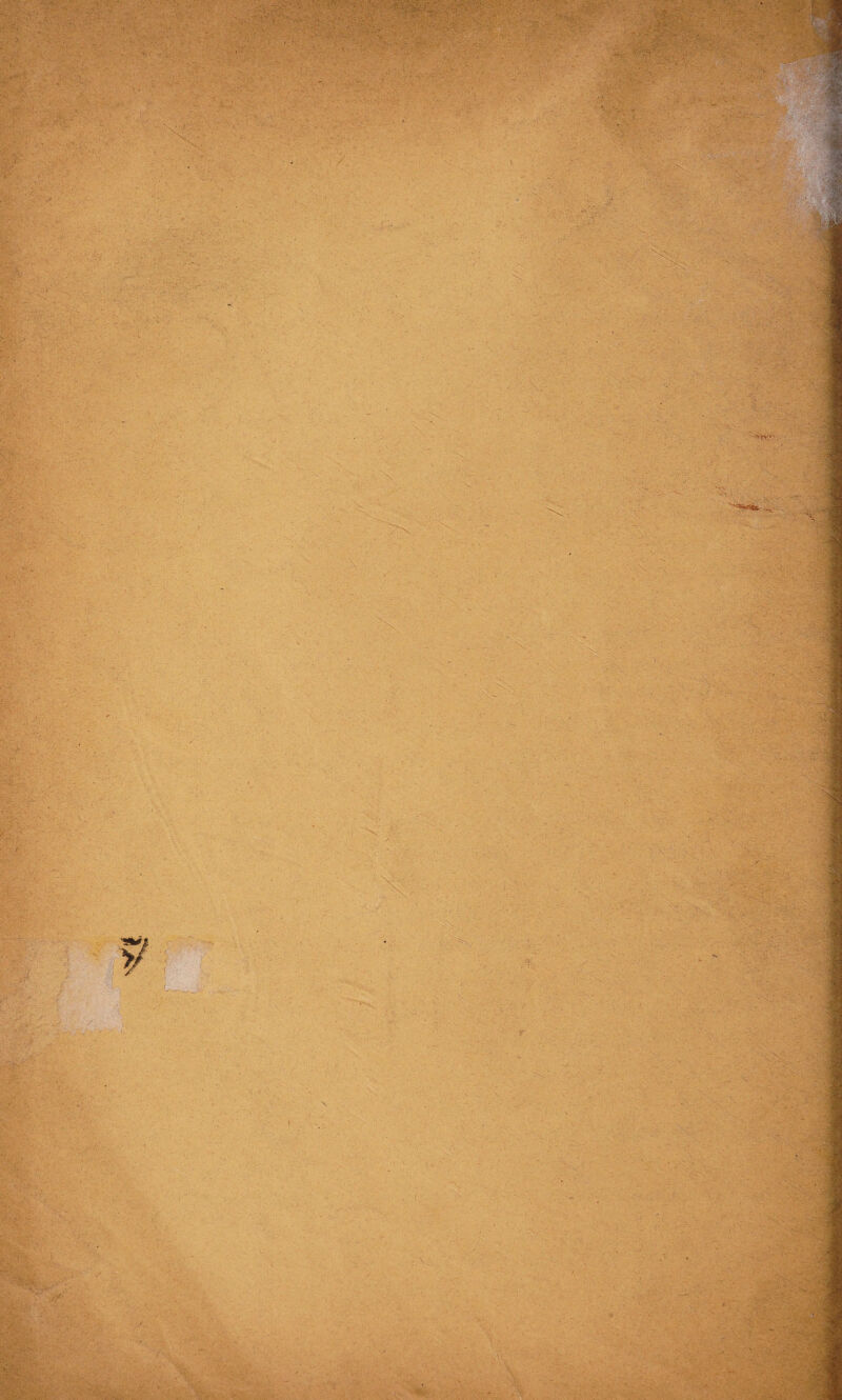 ^ ■ ';:: ■ -'Mi' V-i . ■ ■=; ■■ :*v,, V'., ■ ■ . 1 :/V* • ; -■ • ' x i'/Cv • >; ■ ‘• ■ V ' ■'■■■■ - - m,::