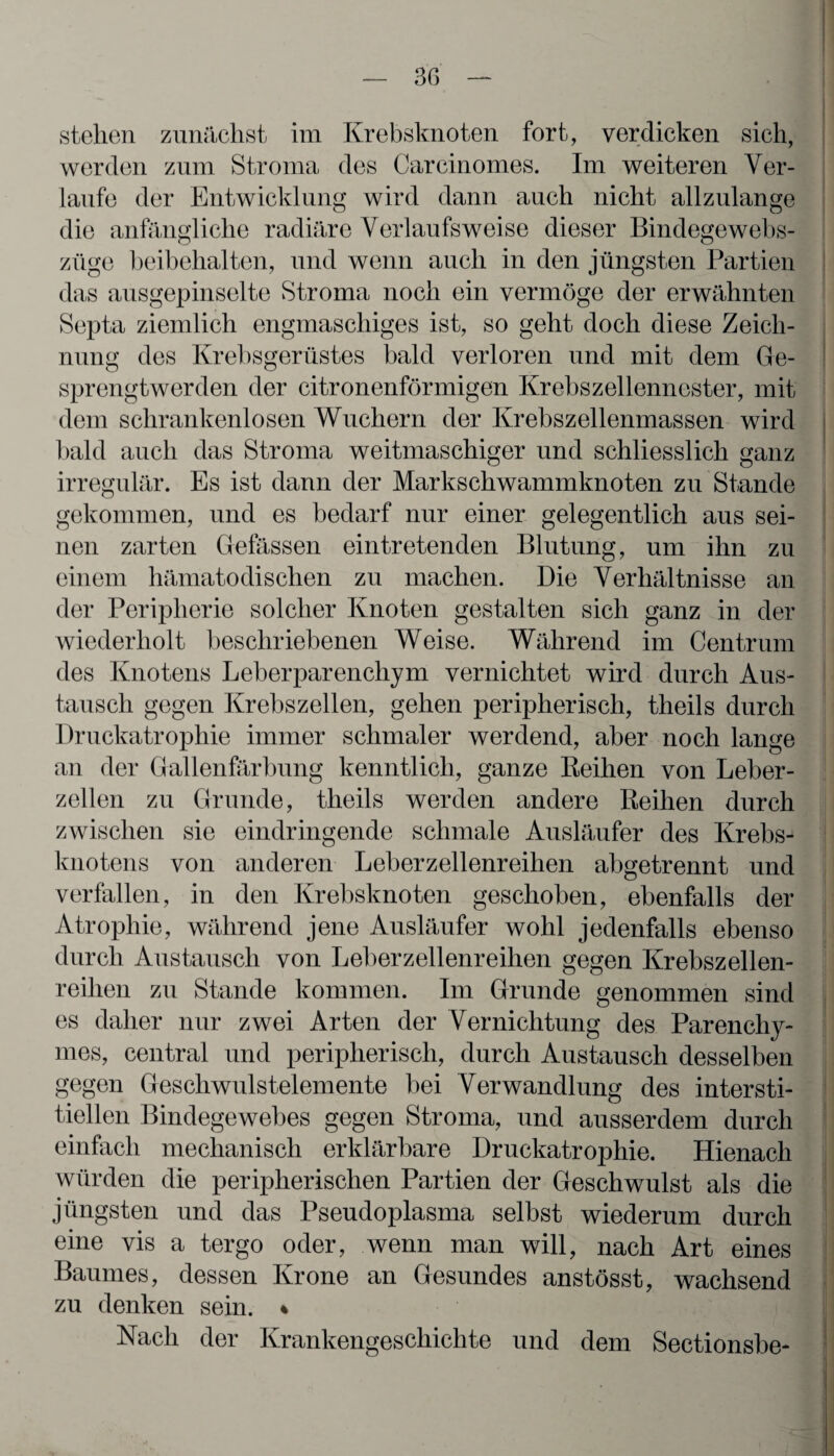 werden zum Stroma des Carcinomes. Im weiteren Ver¬ laufe der Entwicklung wird dann auch nicht allzulange die anfängliche radiäre Verlaufsweise dieser Bindegewebs- züge beibehalten, und wenn auch in den jüngsten Partien das ausgepinselte Stroma noch ein vermöge der erwähnten Septa ziemlich engmaschiges ist, so geht doch diese Zeich¬ nung des Krebsgerüstes bald verloren und mit dem Ge¬ sprengtwerden der citronenförmigen Krebszellennester, mit dem schrankenlosen Wuchern der Krebszellenmassen wird bald auch das Stroma weitmaschiger und schliesslich ganz irregulär. Es ist dann der Markschwammknoten zu Stande gekommen, und es bedarf nur einer gelegentlich aus sei¬ nen zarten Gelassen eintretenden Blutung, um ihn zu einem hämatodischen zu machen. Die Verhältnisse an der Peripherie solcher Knoten gestalten sich ganz in der wiederholt beschriebenen Weise. Während im Centrum des Knotens Leberparenchym vernichtet wird durch Aus¬ tausch gegen Krebszellen, gehen peripherisch, theils durch Druckatrophie immer schmaler werdend, aber noch lange an der Gallenfärbung kenntlich, ganze Reihen von Leber¬ zellen zu Grunde, theils werden andere Reihen durch zwischen sie eindringende schmale Ausläufer des Krebs¬ knotens von anderen Leberzellenreihen abgetrennt und verfallen, in den Krebsknoten geschoben, ebenfalls der Atrophie, während jene Ausläufer wohl jedenfalls ebenso durch Austausch von Leber zellenreihen gegen Krebszellen¬ reihen zu Stande kommen. Im Grunde genommen sind es daher nur zwei Arten der Vernichtung des Parenchy- mes, central und peripherisch, durch Austausch desselben gegen Geschwulstelemente bei Verwandlung des intersti¬ tiellen Bindegewebes gegen Stroma, und ausserdem durch einfach mechanisch erklärbare Druckatrophie. Hienach würden die peripherischen Partien der Geschwulst als die jüngsten und das Pseudoplasma selbst wiederum durch eine vis a tergo oder, wenn man will, nach Art eines Baumes, dessen Krone an Gesundes anstösst, wachsend zu denken sein. ♦ Nach der Krankengeschichte und dem Sectionsbe-