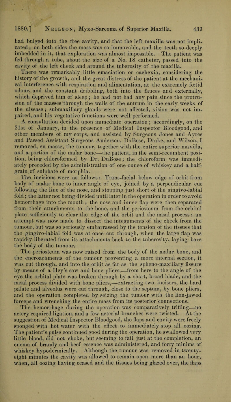 had bulged into the free cavity, and that the left maxilla was not impli¬ cated ; on both sides the mass was so immovable, and the teeth so deeply imbedded in it, that exploration was almost impossible. The patient was fed through a tube, about the size of a No. 18 catheter, passed into the cavity of the left cheek and around the tuberosity of the maxilla. There was remarkably little emaciation or cachexia, considering the history of the growth, and the great distress of the patient at the mechani¬ cal interference with respiration and alimentation, at the extremely foetid odour, and the constant dribbling, both into the fauces and externally, which deprived him of sleep ; he had not had any pain since the protru¬ sion of the masses through the walls of the antrum in the early weeks of the disease ; submaxillary glands were not affected, vision was not im¬ paired, and his vegetative functions were well performed. A consultation decided upon immediate operation ; accordingly, on the 21st of January, in the presence of Medical Inspector Bloodgood, and other members of my corps, and assisted by Surgeons Jones and Ayres and Passed Assistant Surgeons Anderson, DuBose, Drake, and Wilson, I removed, en masse, the tumour, together with the entire superior maxilla, and a portion of the malar bone—the patient, in the semi-recumbent posi¬ tion, being chloroformed by Dr. DuBose ; the chloroform was immedi¬ ately preceded by the administration of one ounce of whiskey and a half¬ grain of sulphate of morphia. The incisions were as follows : Trans-facial below edge of orbit from body of malar bone to inner angle of eye, joined by a perpendicular cut following the line of the nose, and stopping just short of the gingivo-labial fold; the latter not being divided until later in the operation in order to avoid hemorrhage into the mouth ; the nose and inner flap were then separated from their attachments to the bone, and the periosteum from the orbital plate sufficiently to clear the edge of the orbit and the nasal process : an attempt was now made to dissect the integuments of the cheek from the tumour, but was so seriously embarrassed by the tension of the tissues that the gingivo-labial fold was at once cut through, when the large flap was rapidly liberated from its attachments back to the tuberosity, laying bare the body of the tumour. The periosteum was now raised from the body of the malar bone, and the encroachments of the tumour preventing a more internal section, it was cut through, and into the orbit as far as the spheno-maxillary fissure by means of a Key’s saw and bone pliers,—from here to the angle of the eye the orbital plate was broken through by a short, broad blade, and the nasal process divided with bone pliers,—extracting two incisors, the hard palate and alveolus were cut through, close to the septum, by bone pliers, and the operation completed by seizing the tumour with the lion-jawed forceps and wrenching the entire mass from its posterior connections. The hemorrhage during the operation was comparatively trifling—no artery required ligation, and a few arterial branches were twisted. At the suggestion of Medical Inspector Bloodgood, the flaps and cavity were freely sponged with hot water with the effect to immediately stop all oozing. The patient’s pulse continued good during the operation, lie swallowed very little blood, did not choke, but seeming to fail just at the completion, an enema of brandy and beef essence was administered, and forty minims of whiskey hypodermically. Although the tumour was removed in twenty- eight minutes the cavity was allowed to remain open more than an hour, when, all oozing having ceased and the tissues being glazed over, the flaps