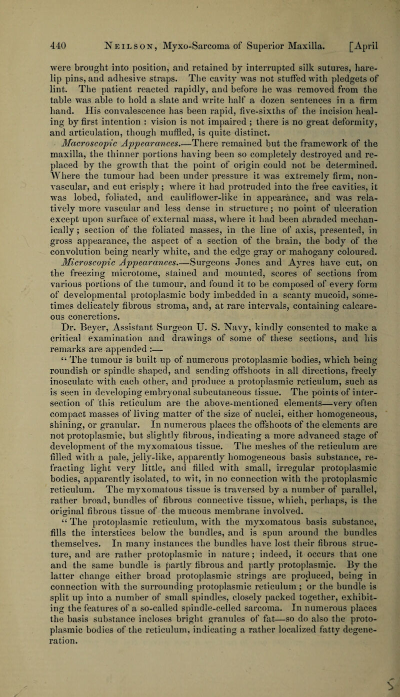 were brought into position, and retained by interrupted silk sutures, hare¬ lip pins, and adhesive straps. The cavity was not stuffed with pledgets of lint. The patient reacted rapidly, and before he was removed from the table was able to hold a slate and write half a dozen sentences in a firm hand. His convalescence has been rapid, five-sixths of the incision heal¬ ing by first intention : vision is not impaired ; there is no great deformity, and articulation, though muffled, is quite distinct. Macroscopic Appearances_There remained but the framework of the maxilla, the thinner portions having been so completely destroyed and re¬ placed by the growth that the point of origin could not be determined. Where the tumour had been under pressure it was extremely firm, non- vascular, and cut crisply; where it had protruded into the free cavities, it was lobed, foliated, and cauliflower-like in appearance, and was rela¬ tively more vascular and less dense in structure ; no point of ulceration except upon surface of external mass, where it had been abraded mechan¬ ically ; section of the foliated masses, in the line of axis, presented, in gross appearance, the aspect of a section of the brain, the body of the convolution being nearly white, and the edge gray or mahogany coloured. Microscopic Appearances.—Surgeons Jones and Ayres have cut, on the freezing microtome, stained and mounted, scores of sections from various portions of the tumour, and found it to be composed of every form of developmental protoplasmic body imbedded in a scanty mucoid, some¬ times delicately fibrous stroma, and, at rare intervals, containing calcare¬ ous concretions. Dr. Beyer, Assistant Surgeon U. S. Navy, kindly consented to make a critical examination and drawings of some of these sections, and his remarks are appended :— “ The tumour is built up of numerous protoplasmic bodies, which being roundish or spindle shaped, and sending offshoots in all directions, freely inosculate with each other, and produce a protoplasmic reticulum, such as is seen in developing embryonal subcutaneous tissue. The points of inter¬ section of this reticulum are the above-mentioned elements—very often compact masses of living matter of the size of nuclei, either homogeneous, shining, or granular. In numerous places the offshoots of the elements are not protoplasmic, but slightly fibrous, indicating a more advanced stage of development of the myxomatous tissue. The meshes of the reticulum are filled with a pale, jelly-like, apparently homogeneous basis substance, re¬ fracting light very little, and filled with small, irregular protoplasmic bodies, apparently isolated, to wit, in no connection with the protoplasmic reticulum. The myxomatous tissue is traversed by a number of parallel, rather broad, bundles of fibrous connective tissue, which, perhaps, is the original fibrous tissue of the mucous membrane involved. “ The protoplasmic reticulum, with the myxomatous basis substance, fills the interstices below the bundles, and is spun around the bundles themselves. In many instances the bundles have lost their fibrous struc¬ ture, and are rather protoplasmic in nature; indeed, it occurs that one and the same bundle is partly fibrous and partly protoplasmic. By the latter change either broad protoplasmic strings are produced, being in connection with the surrounding protoplasmic reticulum ; or the bundle is split up into a number of small spindles, closely packed together, exhibit¬ ing the features of a so-called spindle-celled sarcoma. In numerous places the basis substance incloses bright granules of fat—so do also the proto¬ plasmic bodies of the reticulum, indicating a rather localized fatty degene¬ ration.