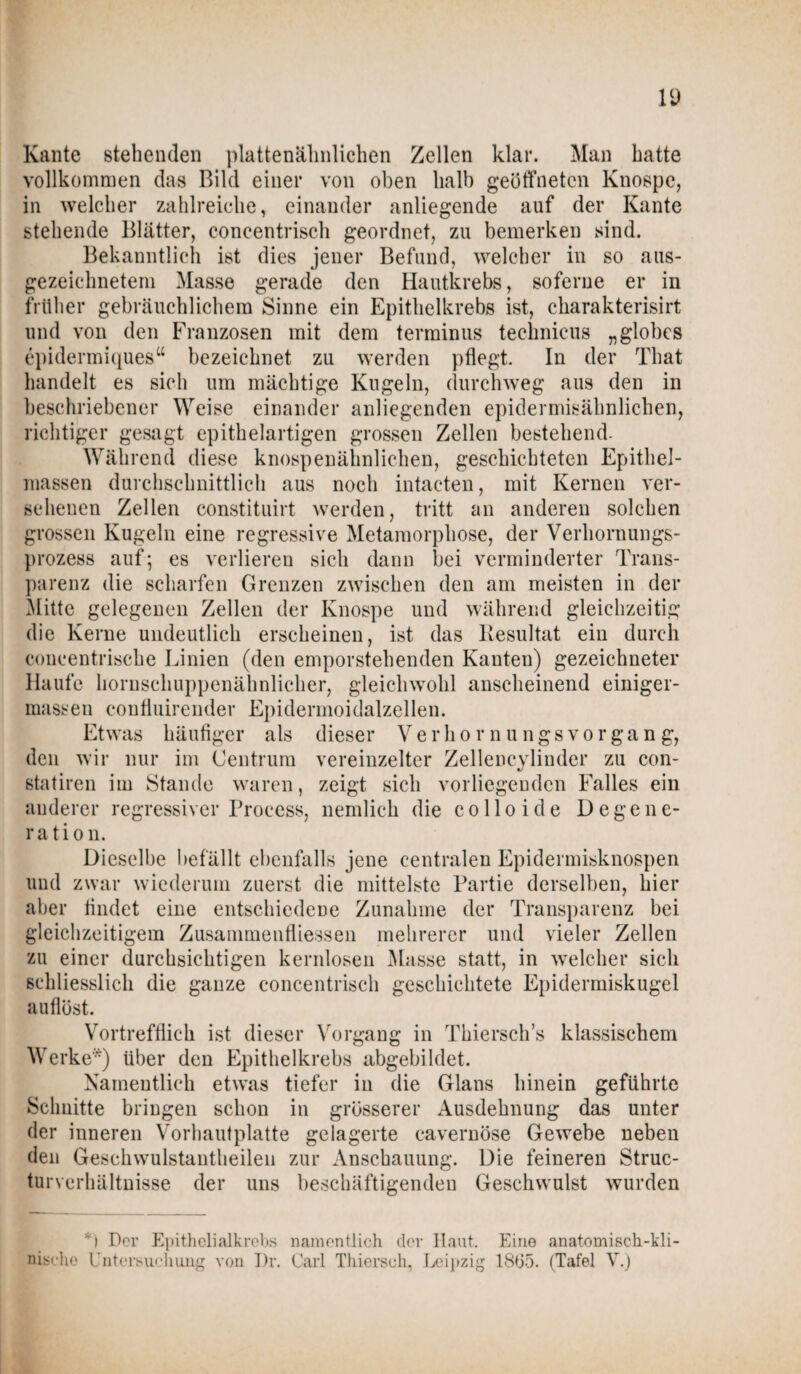 Kante stehenden plattenähnlichen Zellen klar. Man hatte vollkommen das Bild einer von oben halb geöffneten Knospe, in welcher zahlreiche, einander anliegende auf der Kante stehende Blätter, concentrisch geordnet, zu bemerken sind. Bekanntlich ist dies jener Befund, welcher in so aus¬ gezeichnetem Masse gerade den Hautkrebs, soferne er in früher gebräuchlichem Sinne ein Epithelkrebs ist, charakterisirt und von den Franzosen mit dem terminus technicus „globes epidermiques“ bezeichnet zu werden pflegt. In der That handelt es sich um mächtige Kugeln, durchweg aus den in beschriebener Weise einander anliegenden epidermisäbnlichen, richtiger gesagt epithelartigen grossen Zellen bestehend. Während diese knospenähnlichen, geschichteten Epithel¬ massen durchschnittlich aus noch intacten, mit Kernen ver¬ sehenen Zellen constituirt werden, tritt an anderen solchen grossen Kugeln eine regressive Metamorphose, der Verhornungs¬ prozess auf; es verlieren sich dann bei verminderter Trans¬ parenz die scharfen Grenzen zwischen den am meisten in der Mitte gelegenen Zellen der Knospe und während gleichzeitig die Kerne undeutlich erscheinen, ist das Resultat ein durch concentrische Linien (den emporstehenden Kanten) gezeichneter Haufe hornschuppenähnlicher, gleichwohl anscheinend einiger- massen coufluirender Epidermoidalzellen. Etwas häufiger als dieser Verhornungsvorgang, den wir nur im Centrum vereinzelter Zellencylinder zu con- statiren im Stande waren, zeigt sich vorliegenden Falles ein anderer regressiver Process, nemlich die colloide Degene¬ ration. Dieselbe befällt ebenfalls jene centralen Epidermisknospen und zwar wiederum zuerst die mittelste Partie derselben, hier aber findet eine entschiedene Zunahme der Transparenz bei gleichzeitigem Zusammenfliesseil mehrerer und vieler Zellen zu einer durchsichtigen kernlosen Masse statt, in welcher sich schliesslich die ganze concentrisch geschichtete Epidermiskugel auflöst. Vortrefflich ist dieser Vorgang in Thiersch’s klassischem Werke*) über den Epithelkrebs abgebildet. Namentlich etwas tiefer in die Glans hinein geführte Schnitte bringen schon in grösserer Ausdehnung das unter der inneren Vorhautplatte gelagerte cavernöse Gewebe neben den Geschwulstantheileii zur Anschauung. Die feineren Struc- turvcrhältuisse der uns beschäftigenden Geschwulst wurden *) Der Epithelialkrebs namentlich der Haut. Eine anatomisch-kli¬ nische Untersuchung von Dr. Carl Thiersch, Leipzig 1805. (Tafel V.)
