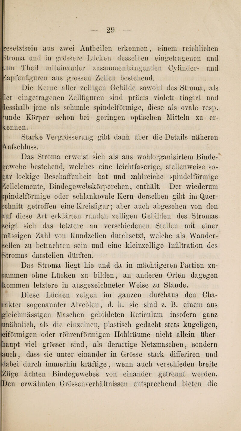 jesetztsein ans zwei Antbeilen erkennen, einem reichlichen Uroma und in grössere Lücken desselben eingetragenen und um Theil miteinander zusammenhängenden Cyl in der- mul iapfenfiguren aus grossen Zellen bestehend. Die Kerne aller zelügen Gebilde sowohl des Stroma, als ler eingetragenen Zellfiguren sind präcis violett tingirt und lesshalb jene als schmale spindelförmige, diese als ovale resp. nmde Körper schon bei geringen optischen Mitteln zu er¬ nennen. Starke Vergrößerung gibt dann über die Details näheren Aufschluss. Das Stroma erweist sich als aus wohlorganisirtem Binde¬ gewebe bestehend, welches eine leichtfaserige, stellenweise so- £ar lockige Beschaffenheit hat und zahlreiche spindelförmige Zellelemente, Bindegewebskörperchen, enthält. Der wiederum spindelförmige oder schlankovale Kern derselben gibt im Quer¬ schnitt getroffen eine Kreisfigur; aber auch abgesehen von den auf diese Art erklärten runden zelligen Gebilden des Stromas geigt sich das letztere an verschiedenen Stellen mit einer massigen Zahl von Rundzellen durchsetzt, welche als Wander¬ gellen zu betrachten sein und eine kleinzellige Infiltration des Stromas darstellen dürften. Das Stroma liegt hie und da in mächtigeren Partien zu¬ sammen ohne Lücken zu bilden, an anderen Orten dagegen kommen letztere in ausgezeichneter Weise zu Stande. Diese Lücken zeigen im ganzen durchaus den Cha¬ rakter sogenannter Alveolen, d. h. sie sind z. B. einem aus gleichmässigen Maschen gebildeten Reticulum insofern ganz wnähnlich, als die einzelnen, plastisch gedacht stets kugeligen, eiförmigen oder röhrenförmigen Hohlräume nicht allein über¬ haupt viel grösser sind, als derartige Netzmaschen, sondern auch, dass sie unter einander in Grösse stark differiren und dabei durch immerhin kräftige, wenn auch verschieden breite Züge ächten Bindegewebes von einander getrennt werden. Den erwähnten Grössenverhältnissen entsprechend bieten die