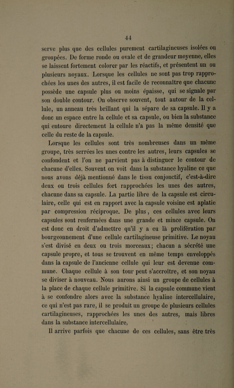 serve plus que des cellules purement cartilagineuses isolées ou groupées. De forme ronde ou ovale et de grandeur moyenne, elles se laissent fortement colorer par les réactifs, et présentent un ou plusieurs noyaux. Lorsque les cellules ne sont pas trop rappro¬ chées les unes des autres, il est facile de reconnaître que chacune possède une capsule plus ou moins épaisse, qui se signale par son double contour. On observe souvent, tout autour de la cel¬ lule, un anneau très brillant qui la sépare de sa capsule. Il y a donc un espace entre la cellule et sa capsule, ou bien la substance qui entoure directement la cellule n’a pas la même densité que celle du reste de la capsule. Lorsque les cellules sont très nombreuses dans un même groupe, très serrées les unes contre les autres, leurs capsules se confondent et l’on ne parvient pas à distinguer le contour de chacune d’elles. Souvent on voit dans la substance hyaline ce que nous avons déjà mentionné dans le tissu conjonctif, c’est-à-dire deux ou trois cellules fort rapprochées les unes des autres, chacune dans sa capsule. La partie libre de la capsule est circu¬ laire, celle qui est en rapport avec la capsule voisine est aplatie par compression réciproque. De plus, ces cellules avec leurs capsules sont renfermées dans une grande et mince capsule. On est donc en droit d’admettre qu’il y a eu là prolifération par bourgeonnement d’une cellule cartilagineuse primitive. Le noyau s’est divisé en deux ou trois morceaux; chacun a sécrété une capsule propre, et tous se trouvent en même temps enveloppés dans la capsule de l’ancienne cellule qui leur est devenue com¬ mune. Chaque cellule à son tour peut s’accroître, et son noyau se diviser à nouveau. Nous aurons ainsi un groupe de cellules à la place de chaque cellule primitive. Si la capsule commune vient à se confondre alors avec la substance hyaline intercellulaire, ce qui n’est pas rare, il se produit un groupe de plusieurs cellules cartilagineuses, rapprochées les unes des autres, mais libres dans la substance intercellulaire. ' Il arrive parfois que chacune de ces cellules, sans être très