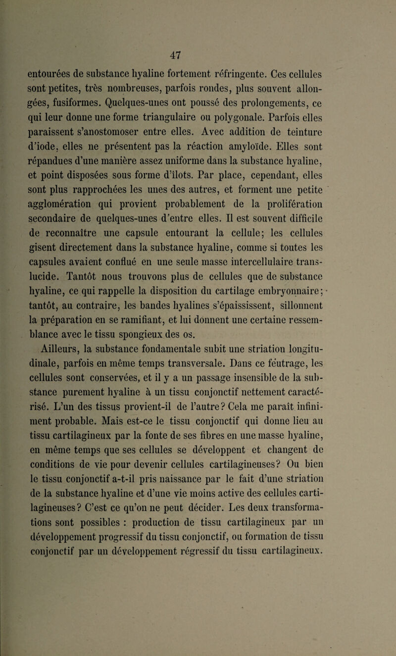 entourées de substance hyaline fortement réfringente. Ces cellules sont petites, très nombreuses, parfois rondes, plus souvent allon¬ gées, fusiformes. Quelques-unes ont poussé des prolongements, ce qui leur donne une forme triangulaire ou polygonale. Parfois elles paraissent s’anostomoser entre elles. Avec addition de teinture d’iode, elles ne présentent pas la réaction amyloïde. Elles sont répandues d’une manière assez uniforme dans la substance hyaline, et point disposées sous forme d’îlots. Par place, cependant, elles sont plus rapprochées les unes des autres, et forment une petite agglomération qui provient probablement de la prolifération secondaire de quelques-unes d’entre elles. Il est souvent difficile de reconnaître une capsule entourant la cellule; les cellules gisent directement dans la substance hyaline, comme si toutes les capsules avaient conflué en une seule masse intercellulaire trans¬ lucide. Tantôt nous trouvons plus de cellules que de substance hyaline, ce qui rappelle la disposition du cartilage embryonnaire; ' tantôt, au contraire, les bandes hyalines s’épaississent, sillonnent la préparation en se ramifiant, et lui donnent une certaine ressem¬ blance avec le tissu spongieux des os. Ailleurs, la substance fondamentale subit une striation longitu¬ dinale, parfois en même temps transversale. Dans ce feutrage, les cellules sont conservées, et il y a un passage insensible de la sub¬ stance purement hyaline à un tissu conjonctif nettement caracté¬ risé. L’un des tissus provient-il de l’autre? Cela me paraît infini¬ ment probable. Mais est-ce le tissu conjonctif qui donne lieu au tissu cartilagineux par la fonte de ses fibres en une masse hyaline, en même temps que ses cellules se développent et changent de conditions de vie pour devenir cellules cartilagineuses? Ou bien le tissu conjonctif a-t-il pris naissance par le fait d’une striation de la substance hyaline et d’une vie moins active des cellules carti¬ lagineuses? C’est ce qu’on ne peut décider. Les deux transforma¬ tions sont possibles : production de tissu cartilagineux par un développement progressif du tissu conjonctif, ou formation de tissu conjonctif par un développement régressif du tissu cartilagineux.