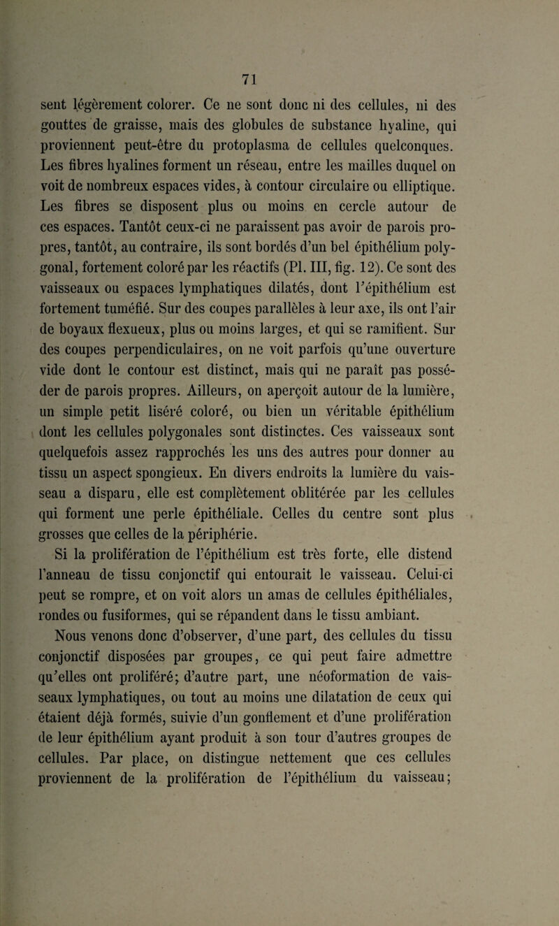 II sent légèrement colorer. Ce ne sont donc ni des cellules, ni des gouttes de graisse, mais des globules de substance hyaline, qui proviennent peut-être du protoplasma de cellules quelconques. Les fibres hyalines forment un réseau, entre les mailles duquel on voit de nombreux espaces vides, à contour circulaire ou elliptique. Les fibres se disposent plus ou moins en cercle autour de ces espaces. Tantôt ceux-ci ne paraissent pas avoir de parois pro¬ pres, tantôt, au contraire, ils sont bordés d’un bel épithélium poly¬ gonal, fortement coloré par les réactifs (PL III, fig. 12). Ce sont des vaisseaux ou espaces lymphatiques dilatés, dont Tépithélium est fortement tuméfié. Sur des coupes parallèles à leur axe, ils ont l’air de boyaux flexueux, plus ou moins larges, et qui se ramifient. Sur des coupes perpendiculaires, on ne voit parfois qu’une ouverture vide dont le contour est distinct, mais qui ne paraît pas possé¬ der de parois propres. Ailleurs, on aperçoit autour de la lumière, un simple petit liséré coloré, ou bien un véritable épithélium dont les cellules polygonales sont distinctes. Ces vaisseaux sont quelquefois assez rapprochés les uns des autres pour donner au tissu un aspect spongieux. En divers endroits la lumière du vais¬ seau a disparu, elle est complètement oblitérée par les cellules qui forment une perle épithéliale. Celles du centre sont plus grosses que celles de la périphérie. Si la prolifération de l’épithélium est très forte, elle distend l’anneau de tissu conjonctif qui entourait le vaisseau. Celui-ci peut se rompre, et on voit alors un amas de cellules épithéliales, rondes ou fusiformes, qui se répandent dans le tissu ambiant. Nous venons donc d’observer, d’une part, des cellules du tissu conjonctif disposées par groupes, ce qui peut faire admettre qu^elles ont proliféré; d’autre part, une néoformation de vais¬ seaux lymphatiques, ou tout au moins une dilatation de ceux qui étaient déjà formés, suivie d’un gonflement et d’une prolifération de leur épithélium ayant produit à son tour d’autres groupes de cellules. Par place, on distingue nettement que ces cellules proviennent de la prolifération de l’épithélium du vaisseau;