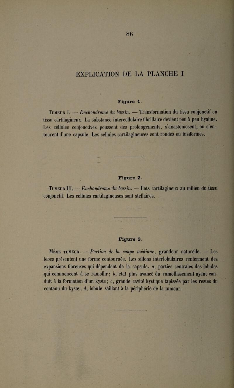 EXPLICATION DE LA PLANCHE I Figure 1. Tumeur I. — Enchondrome du bassin. — Transformation du tissu conjonctif en tissu cartilagineux. La substance intercellulaire (ibrillaire devient peu à peu hyaline. Les cellules conjonctives poussent des prolongements, s anastomosent, ou s’en¬ tourent d’une capsule. Les cellules cartilagineuses sont rondes ou fusiformes. Figure 2. Tumeur III. — Enchondrome du bassin. — Ilots cartilagineux au milieu du tissu conjonctif. Les cellules cartilagineuses sont stellaires. Figure 3. Même tumeur. — Portion de la coupe médiane^ grandeur naturelle. — Les lobes présentent une forme contournée. Les sillons interlobulaires renferment des expansions fibreuses qui dépendent de la capsule, a, parties centrales des lobules qui commencent à se ramollir ; b, état plus avancé du ramollissement ayant con¬ duit à la formation d’un kyste ; c, grande cavité kystique tapissée par les restes du contenu du kyste ; d, lobule saillant à la périphérie de la tumeur.