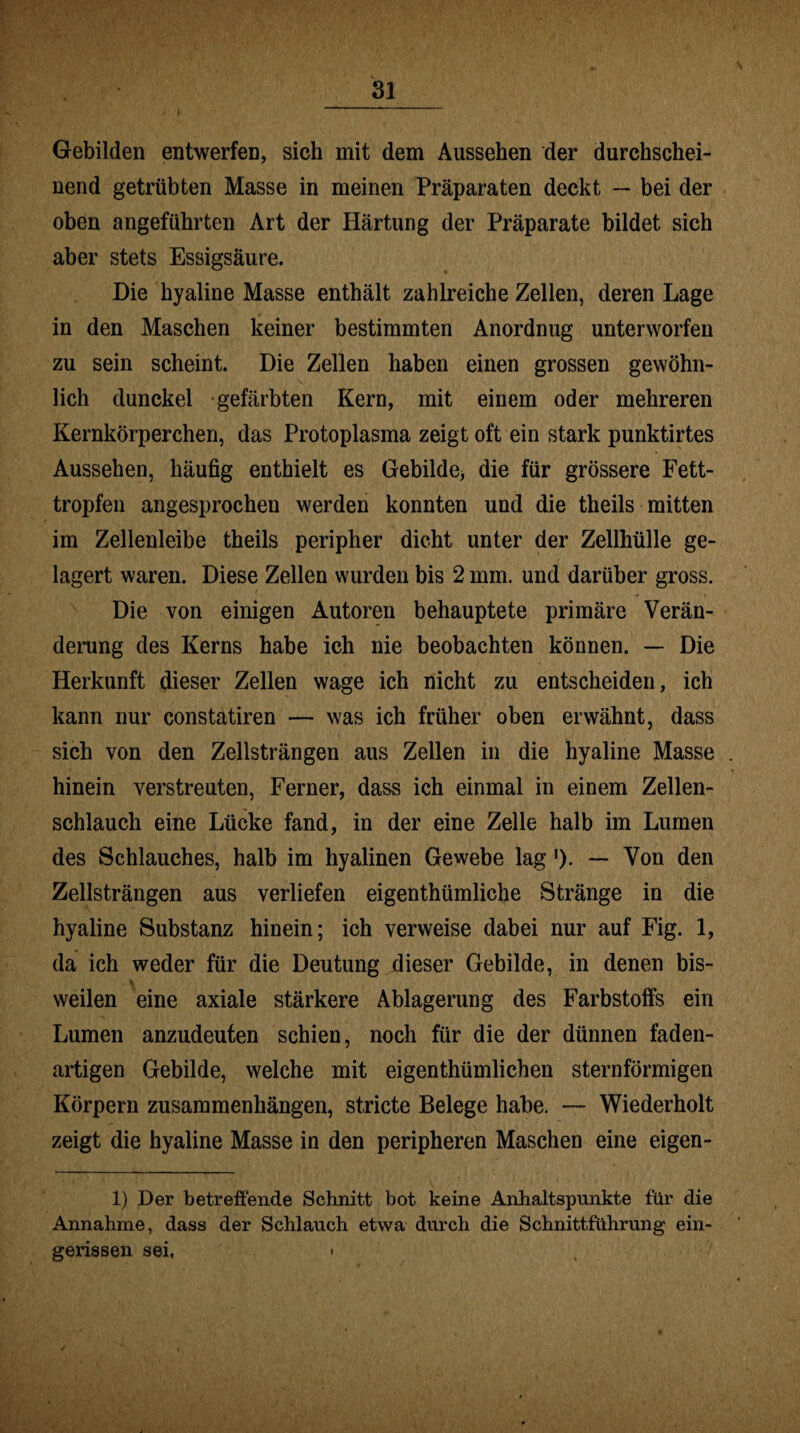 Gebilden entwerfen, sich mit dem Aussehen der durchschei¬ nend getrübten Masse in meinen Präparaten deckt — bei der oben angeführten Art der Härtung der Präparate bildet sich aber stets Essigsäure. Die hyaline Masse enthält zahlreiche Zellen, deren Lage in den Maschen keiner bestimmten Anordnug unterworfen zu sein scheint. Die Zellen haben einen grossen gewöhn¬ lich dunckel gefärbten Kern, mit einem oder mehreren Kernkörperchen, das Protoplasma zeigt oft ein stark punktirtes Aussehen, häufig enthielt es Gebilde, die für grössere Fett¬ tropfen angesprochen werden konnten und die theils mitten im Zellenleibe theils peripher dicht unter der Zellhülle ge¬ lagert waren. Diese Zellen wurden bis 2 mm. und darüber gross. Die von einigen Autoren behauptete primäre Verän¬ derung des Kerns habe ich nie beobachten können. — Die Herkunft dieser Zellen wage ich nicht zu entscheiden, ich kann nur constatiren — was ich früher oben erwähnt, dass sich von den Zellsträngen aus Zellen in die hyaline Masse hinein verstreuten, Ferner, dass ich einmal in einem Zellen¬ schlauch eine Lücke fand, in der eine Zelle halb im Lumen des Schlauches, halb im hyalinen Gewebe lag ,). — Von den Zellsträngen aus verliefen eigenthümliche Stränge in die hyaline Substanz hinein; ich verweise dabei nur auf Fig. 1, da ich weder für die Deutung dieser Gebilde, in denen bis- . % weilen eine axiale stärkere Ablagerung des Farbstoffs ein Lumen anzudeuten schien, noch für die der dünnen faden¬ artigen Gebilde, welche mit eigentümlichen sternförmigen Körpern Zusammenhängen, stricte Belege habe. — Wiederholt zeigt die hyaline Masse in den peripheren Maschen eine eigen- 1) Der betreffende Schnitt bot keine Anhaltspunkte für die Annahme, dass der Schlauch etwa durch die Schnittführung ein¬ gerissen sei,