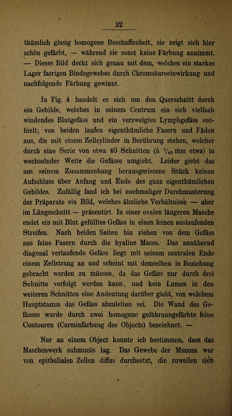 thümlich glasig homogene Beschaffenheit, sie zeigt sich hier schön gefärbt, — während sie sonst keine Färbung annimmt. — Dieses Bild deckt sich genau mit dem, welches ein starkes Lager fasrigen Bindegewebes durch Chromsäureeinwirkung und nachfolgende Färbung gewinnt. In Fig. 4 handelt es sich um den Querschnitt durch ein Gebilde, welches in seinem Centrum ein sich vielfach windendes Blutgefäss und ein verzweigtes Lymphgefäss ent¬ hielt; von beiden laufen eigenthümliche Fasern und Fäden aus, die mit einem Zellcylinder in Berührung stehen, welcher durch eine Serie von etwa 40 Schnitten (ä y40nmi etwa) in wechselnder Weite die Gefässe umgiebt. Leider giebt das aus seinem Zusammenhang herausgerissene Stück keinen Aufschluss über Anfang und Ende des ganz eigenthümlichen Gebildes. Zufällig fand ich bei nochmaliger Durchmusterung der Präparate ein Bild, welches ähnliche Verhältnisse — aber im Längsschnitt — präsentirt. In einer ovalen längeren Masche endet ein mit Blut gefülltes Gefäss in einen feinen auslaufenden Streifen. Nach beiden Seiten hin ziehen von dem Gefäss aus feine Fasern durch die hyaline Masse. Das annähernd diagonal verlaufende Gefäss liegt mit seinem centralen Ende einem Zellstrang an und scheint mit demselben in Beziehung gebracht werden zu müssen, da das Gefäss nur durch drei Schnitte verfolgt werden kann, und kein -Lumen in den weiteren Schnitten eine Andeutung darüber giebt, von welchem Hauptstamm das Gefäss abzuleiten sei. Die Wand des Ge- fässes wurde durch zwei homogene gelbbraungefärbte feine Contouren (Carminfärbung des Objects) bezeichnet. — Nur an einem Object konnte ich bestimmen, dass das Maschenwerk submucös lag. Das Gewebe der Mucosa war von epithelialen Zellen diffus durchsetzt, die zuweilen sich