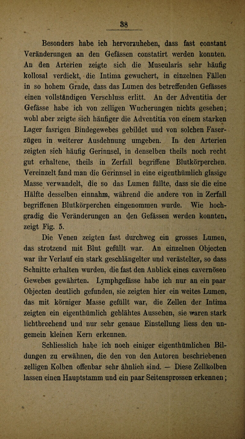 Besonders habe ich hervorzuheben, dass fast constant Veränderungen an den Gefässen constatirt werden konnten. An den Arterien zeigte sich die Muscularis sehr häufig kollosal verdickt, die Intima gewuchert, in einzelnen Fällen in so hohem Grade, dass das Lumen des betreffenden Gefässes einen vollständigen Verschluss erlitt. An der Adventitia der Gefässe habe ich von zelligen Wucherungen nichts gesehen; wohl aber zeigte sich häufiger die Adventitia von einem starken Lager fasrigen Bindegewebes gebildet und von solchen Faser¬ zügen in weiterer Ausdehnung umgeben. In den Arterien zeigten sich häufig Gerinnsel, in denselben theils noch recht gut erhaltene, theils in Zerfall begriffene Blutkörperchen. Vereinzelt fand man die Gerinnsel in eine eigenthümlich glasige Masse verwandelt, die so das Lumen füllte, dass sie die eine Hälfte desselben einnahm, während die andere von in Zerfall begriffenen Blutkörperchen eingenommen wurde. Wie hoch¬ gradig die Veränderungen an den Gefässen werden konnten, zeigt Fig. 5. Die Venen zeigten fast durchweg ein grosses Lumen, das strotzend mit Blut gefüllt war. An einzelnen Objecten war ihr Verlauf ein stark geschlängelter und verästelter, so dass Schnitte erhalten wurden, die fast den Anblick eines cavernösen Gewebes gewährten. Lymphgefässe habe ich nur an ein paar Objecten deutlich gefunden, sie zeigten hier ein weites Lumen, das mit körniger Masse gefüllt war, die Zellen der Intima zeigten ein eigenthümlich geblähtes Aussehen, sie waren stark lichtbrechend und nur sehr genaue Einstellung liess den un- gemein kleinen Kern erkennen. Schliesslich habe ich noch einiger eigenthümlichen Bil¬ dungen zu erwähnen, die den von den Autoren beschriebenen zelligen Kolben offenbar sehr ähnlich sind. — Diese Zellkolben lassen einen Hauptstamm und ein paar Seitensprossen erkennen;