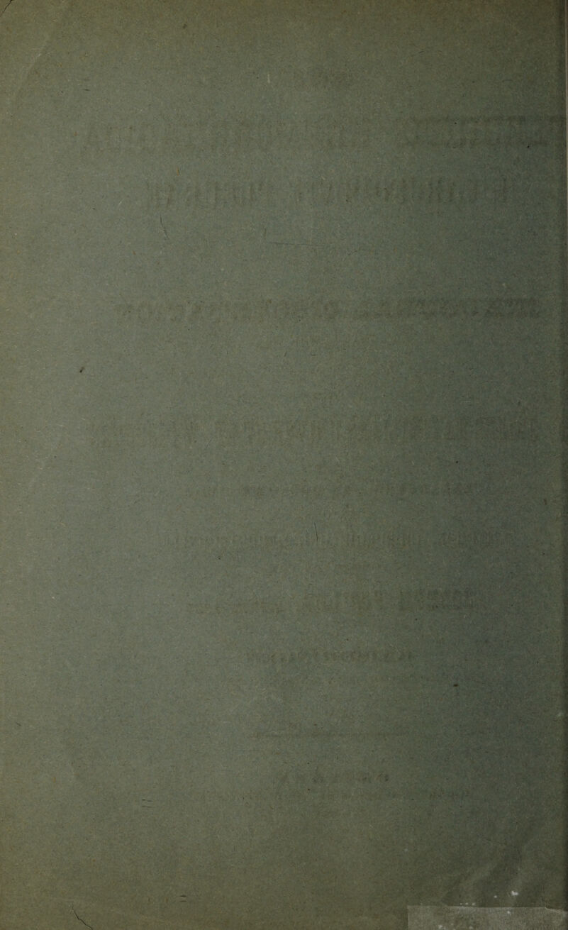 / ■JfeÄjT. • . • i