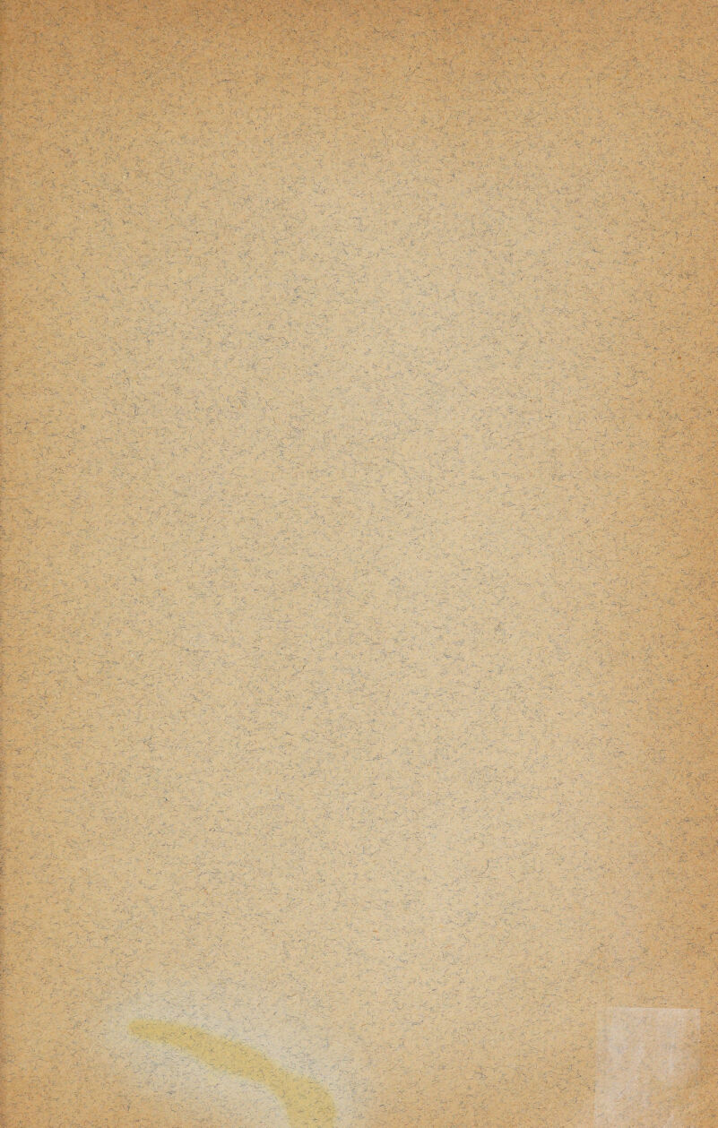 'iPliB wM&m -;I' , . . w ■ ' 1 ''../ r l ' : ■ ■' . ■ ■' ' • -' ■' -' - •• ? ■'. . •■ ■» •' ' *■ • • . , > - ••■*.» • \-;r >-■ \ „ > • -t : '■' • ,.■-■•■■ ' •• -■ . . : ■■■■ '•■ ■••<■,..-•■■ ■■■■ - . f: , ~:*s ’ ■ ■ , - ■ , ... ' ,« <■ ■ •„,.. Y .• :.--«kV .''V~ • • - ' - .' ' • . '. ^ ■ .' ■ ■ -■ ' . ■ : ,■'■.■ ' . .. ' ■ ■ ? • it -. /...' . ‘ ■ • .■- :: ‘ ' ; ■■'•■'■. : ■ '■ .. •_ ' . •,. r v.-, ■ ->•. ■ ■ - • V- .x: ■,. ■  - :> ■ ,. : .. ■ ■ \.. ■ ■■■: ' '.. vY; ''&(&&:•?*!&$.~..-rV:- - ••:• Vr^c-v..UY£=•* ■' - ' i . i^Q0fi£ m.r . c ■ ■ ■ >•-; . 's • .- •• ' <_ :.i : /. a v • • . _ V-* .- - \ • . V'' . .< ■' ■•• •. ...; • - - . V: ■■ ' , '•• .v •••'. *-* v Y - - - •. -!' • “ i . , - -' - ■ . . - •• : >r • .-• r.'h.jF ;<S>w .• 1 >•!_ •' * '‘ v.u ' • ' - -•/ • ■ • ’i. ' ■ - ;.V • •-- . . •• • . • . A • . - ■ ■ ' ' . ' . - ' ' ■v: .- -• ■-.. > .v...; ■ '*• ■ ' ' : y ■ . . £•••>?-3 - ■ i:..v: • %A . .. v’ '• •' . : ■ ■ ■ ■ ....... vV..„ '; _v. •' • . . . ;... .. . ' ' -> v. . .. ■ ■ .. .■' - ; ' Cr ■ ■ i ■ ■» .. -Ai' ' ’ . » • - • . t V- - \ - . ' ■ . - ■ v - - i-::... * - > ’ .' > ‘M'V • rW ■ £ ::: ‘' V •/ . • ' *' ' , ;■-$ „i 5r-xv^ 3S- ' ’-*> ■ ;e. .f-*'• • . . . *. :r■ '■ Sy '>•/ •f -■ m- . - . r _sN., : . ' % • ’-'sSf1', ■ r'. ' >' yr-s'- ' ‘ :■ a.Vf.;V v * Y j:;.-.’- •. :■ ;* v.. Y.; •:• ^ •. . ... . ... •• . • .. - - - • ypTit - ... ■ . 'j- ' ^ ■■ :-v. .'i . <■ ‘V • • •. • • ••••.•. ' -iä. '  ... • '• - : . 1 y -y •  r- ■ ■ ; ^ • -■ y'-. r.-v •,