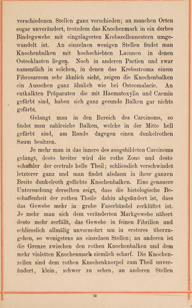 •verschiedenen Steilen ganz verschieden; an manchen Orten sogar unverändert, trotzdem das Knochenmark in ein derbes Bindegewebe mit eingelagerten Krebszellennestern umge¬ wandelt ist. An einzelnen wenigen Stellen findet man Knochenbalken mit hochschiebten Lacunen in denen Osteoklasten liegen. Noch in anderen Partien und zwar namentlich in solchen, in denen das Krebsstroma einem Fibrosarcom sehr ähnlich sieht, zeigen die Knochenbalken ein Aussehen ganz ähnlich wie bei Osteomalacie. An entkalkten Präparaten die mit Haematoxylin und Carmin gefärbt sind, haben sich ganz gesunde Balken gar nichts gefärbt. Gelangt man in den Bereich des Carcinoms, so findet man zahlreiche Balken, welche in der Mitte hell gefärbt sind, am Rande dagegen einen dunkelrothen Saum besitzen. Je mehr man in das innere des ausgebildeten Carcinoms gelangt, desto breiter wird die rothe Zone und desto sehmfaler der certrale helle Theil; schliesslich verschwindet letzterer ganz und man findet alsdann in ihrer ganzen Breite dunkelroth gefärbte Knochenbalken. Eine genauere Untersuchung derselben zeigt, dass die histologische Be¬ schaffenheit der rothen Theile dahin abgeändert ist, dass das Gewebe mehr in grobe Faserbündel zerklüftet ist. Je mehr man sich dem veränderten Markgewebe nähert desto mehr zerfällt, das Gewebe in feinen Fibrillen und schliesslich allmälig unvermehrt um in ersteres überzu¬ gehen, so wenigstens an einzelnen Stellen; an anderen ist die Grenze zwischen den rothen Knochenbalken und dem mehr violetten Knochenmark ziemlich scharf. Die Knochen¬ zellen sind dem rothen Knochenknorpel zum Theil unver¬ ändert, klein, schwer zu sehen, an anderen Stellen