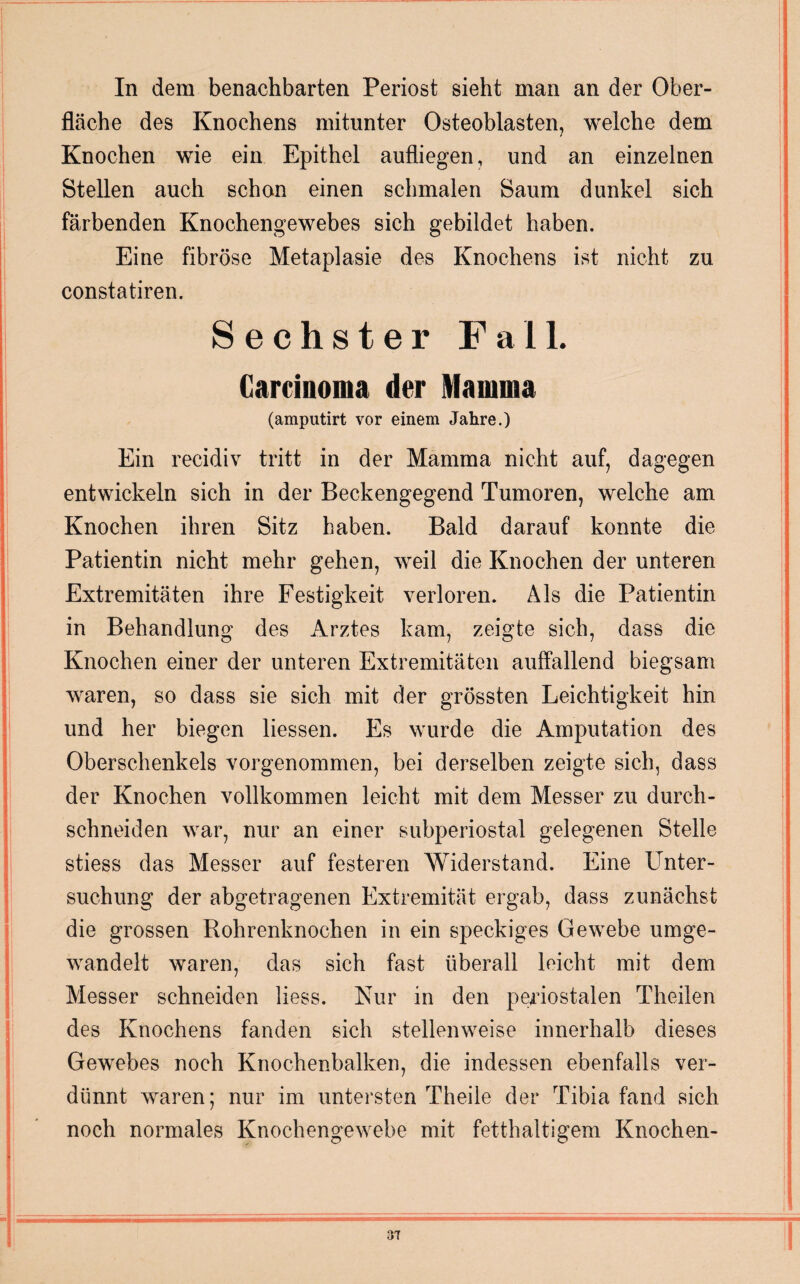 In dem benachbarten Periost sieht man an der Ober¬ fläche des Knochens mitunter Osteoblasten, welche dem Knochen wie ein Epithel aufliegen, und an einzelnen Stellen auch schon einen schmalen Saum dunkel sich färbenden Knochengewebes sich gebildet haben. Eine fibröse Metaplasie des Knochens ist nicht zu constatiren. Sechster Fall. Carcinoma der Mamma (amputirt vor einem Jahre.) Ein recidiv tritt in der Mamma nicht auf, dagegen entwickeln sich in der Beckengegend Tumoren, welche am Knochen ihren Sitz haben. Bald darauf konnte die Patientin nicht mehr gehen, weil die Knochen der unteren Extremitäten ihre Festigkeit verloren. Als die Patientin in Behandlung des Arztes kam, zeigte sich, dass die Knochen einer der unteren Extremitäten auffallend biegsam waren, so dass sie sich mit der grössten Leichtigkeit hin und her biegen Hessen. Es wurde die Amputation des Oberschenkels vorgenommen, bei derselben zeigte sich, dass der Knochen vollkommen leicht mit dem Messer zu durch - schneiden war, nur an einer subperiostal gelegenen Stelle stiess das Messer auf festeren Widerstand. Eine Unter¬ suchung der abgetragenen Extremität ergab, dass zunächst die grossen Röhrenknochen in ein speckiges Gewebe umge¬ wandelt waren, das sich fast überall leicht mit dem Messer schneiden Hess. Kur in den periostalen Theilen des Knochens fanden sich stellenweise innerhalb dieses Gewebes noch Knochenbalken, die indessen ebenfalls ver¬ dünnt waren; nur im untersten Theile der Tibia fand sich noch normales Knochengewebe mit fetthaltigem Knochen-