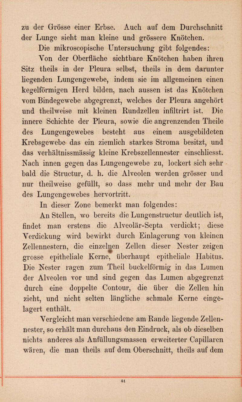 zu der Grösse einer Erbse. Auch auf dem Durchschnitt der Lunge sieht man kleine und grössere Knötchen. Die mikroscopische Untersuchung gibt folgendes: Yon der Oberfläche sichtbare Knötchen haben ihren Sitz theils in der Pleura selbst, theils in dem darunter liegenden Lungengewebe, indem sie im allgemeinen einen kegelförmigen Herd bilden, nach aussen ist das Knötchen vom Bindegewebe abgegrenzt, welches der Pleura angehört und theilweise mit kleinen Rundzellen infiltrirt ist. Die innere Schichte der Pleura, sowie die angrenzenden Theile des Lungengewebes besteht aus einem ausgebildeten Krebsgewebe das ein ziemlich starkes Stroma besitzt, und das verhältnissmässig kleine Krebszellennester einschliesst. Nach innen gegen das Lungengewebe zu, lockert sich sehr bald die Structur, d. h. die Alveolen werden grösser und nur theilweise gefüllt, so dass mehr und mehr der Bau des Lungengewebes hervortritt. In dieser Zone bemerkt man folgendes: An Stellen, wo bereits die Lungenstructur deutlich ist, findet man erstens die Alveolär-Septa verdickt; diese Verdickung wird bewirkt durch Einlagerung von kleinen Zellennestern, die einzelnen Zellen dieser Nester zeigen grosse epitheliale Kerne, überhaupt epitheliale Habitus. Die Nester ragen zum Theil buckelförmig in das Lumen der Alveolen vor und sind gegen das Lumen abgegrenzt durch eine doppelte Contour, die über die Zellen hin zieht, und nicht selten längliche schmale Kerne ein ge¬ lagert enthält. Vergleicht man verschiedene am Rande liegende Zellen¬ nester, so erhält man durchaus den Eindruck, als ob dieselben nichts anderes als Anfüllungsmassen erweiterter Capillaren wären, die man theils auf dem Oberschnitt, theils auf dem