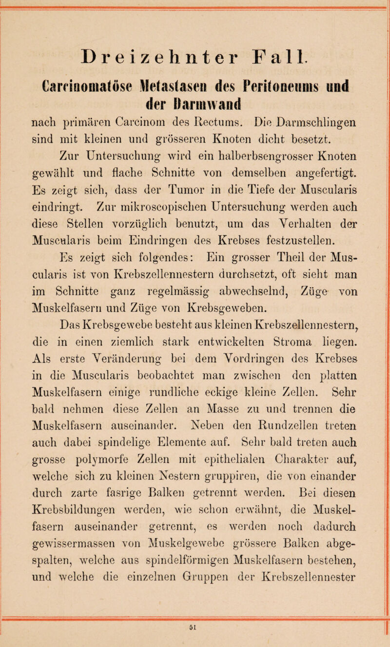 Dreizehnter Fall. Carrinomalöse Metastasen des Peritoneums und der [tarmwand nach primären Carcinom des Rectums. Die Darmschlingen sind mit kleinen und grösseren Knoten dicht besetzt. Zur Untersuchung wird ein halberbsengrosser Knoten gewählt und flache Schnitte von demselben angefertigt. Es zeigt sich, dass der Tumor in die Tiefe der Muscularis eindringt. Zur mikroscopischen Untersuchung werden auch diese Stellen vorzüglich benutzt, um das Verhalten der Muscularis beim Eindringen des Krebses festzustellen. Es zeigt sich folgendes: Ein grosser Theil der Mus¬ cularis ist von Krebszellennestern durchsetzt, oft sieht man im Schnitte ganz regelmässig abwechselnd, Züge von Muskelfasern und Züge von Krebsgeweben. Das Krebsgewebe besteht aus kleinen Krebszellennestern, die in einen ziemlich stark entwickelten Stroma liegen. Als erste Veränderung bei dem Vordringen des Krebses in die Muscularis beobachtet man zwischen den platten Muskelfasern einige rundliche eckige kleine Zellen. Sehr bald nehmen diese Zellen an Masse zu und trennen die Muskelfasern auseinander. Neben den Rundzellen treten auch dabei spindelige Elemente auf. Sehr bald treten auch grosse polymorfe Zellen mit epithelialen Charakter auf, welche sich zu kleinen Nestern gruppiren, die von einander durch zarte fasrige Balken getrennt werden. Bei diesen Krebsbildungen werden, wie schon erwähnt, die Muskel¬ fasern auseinander getrennt, es werden noch dadurch gewissermassen von Muskelgewebe grössere Balken abge¬ spalten, welche aus spindelförmigen Muskelfasern bestehen, und welche die einzelnen Gruppen der Krebszellennester