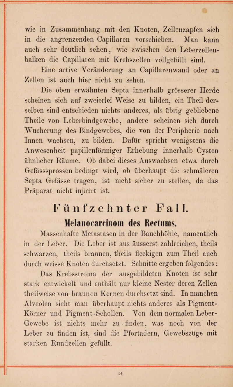wie in Zusammenhang mit den Knoten, Zellenzapfen sich in die angrenzenden Capiilaren vorschieben. Man kann auch sehr deutlich sehen, wie zwischen den Leberzellen¬ balken die Capiilaren mit Krebszellen vollgefüllt sind. Eine active Veränderung an Capiilaren wand oder an Zellen ist auch hier nicht zu sehen. Die oben erwähnten Septa innerhalb grösserer Herde scheinen sich auf zweierlei Weise zu bilden, ein Theil der¬ selben sind entschieden nichts anderes, als übrig gebliebene Theile von Leberbindgewebe, andere scheinen sich durch Wucherung des Bindgewebes, die von der Peripherie nach Innen wachsen, zu bilden. Dafür spricht wenigstens die Anwesenheit papillenförmiger Erhebung innerhalb Cysten ähnlicher Räume. Ob dabei dieses Auswachsen etwa durch Gefässsprossen bedingt wird, ob überhaupt die schmäleren Septa Gefässe tragen, ist nicht sicher zu stellen, da das Präparat nicht injicirt ist. Fünfzehnter Fall. Melauoramnoiti des Redimts. Massenhafte Metastasen in der Bauchhöhle, namentlich in der Leber. Die Leber ist aus äusserst zahlreichen, theils schwarzen, theils braunen, theils fleckigen zum Theil auch durch weisse Knoten durchsetzt. Schnitte ergeben folgendes: Das Krebsstroma der ausgebildeten Knoten ist sehr stark entwickelt und enthält nur kleine Nester deren Zellen theilweise von braunen Kernen durchsetzt sind. In manchen Alveolen sieht man überhaupt nichts anderes als Pigment- Körner und Pigment-Schollen. Von dem normalen Leber- Gewebe ist nichts mehr zu finden, was noch von der Leber zu finden ist, sind die Pfortadern, Gewebszüge mit starken Rund zellen gefüllt.