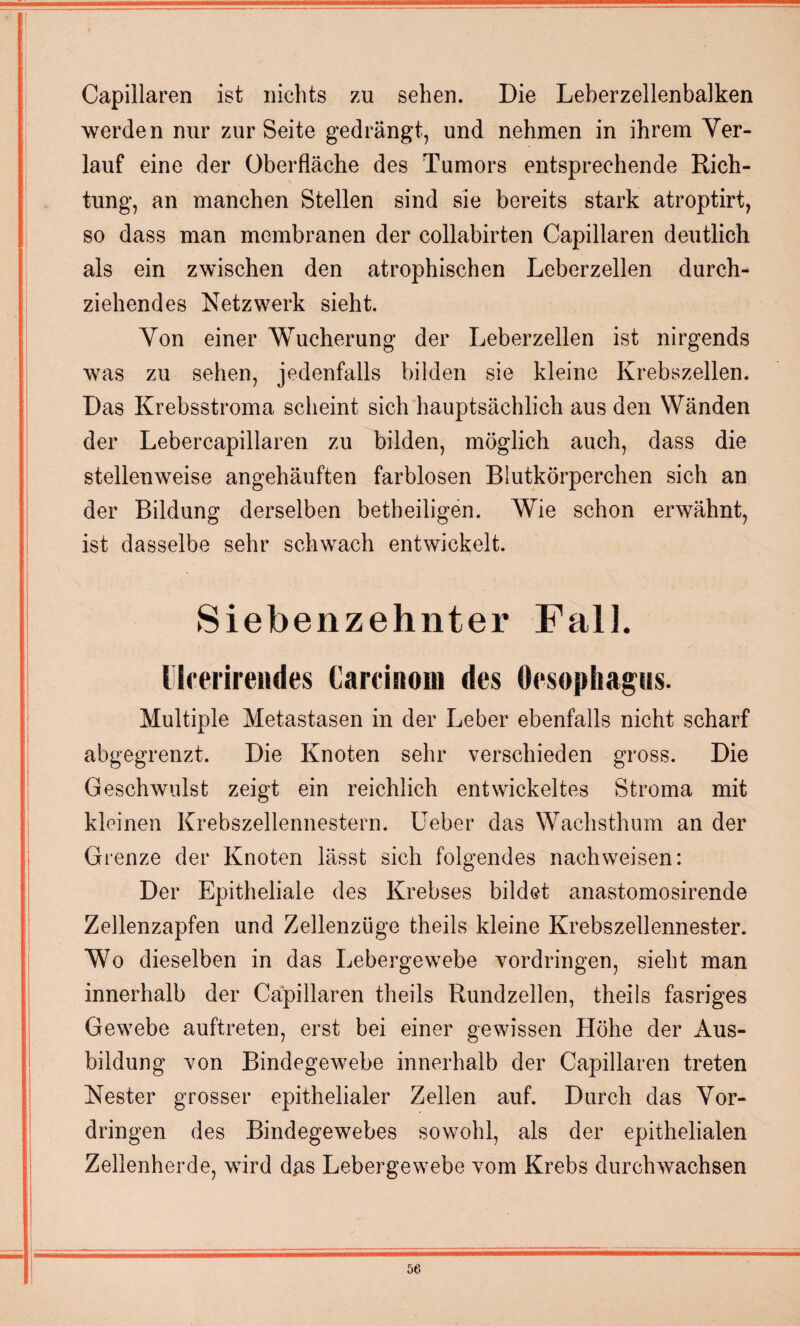 Capillaren ist nichts zu sehen. Die Leberzellenbalken werden nur zur Seite gedrängt, und nehmen in ihrem Ver¬ lauf eine der Oberfläche des Tumors entsprechende Rich¬ tung, an manchen Stellen sind sie bereits stark atroptirt, so dass man membranen der collabirten Capillaren deutlich als ein zwischen den atrophischen Leberzellen durch¬ ziehendes Netzwerk sieht. Von einer Wucherung der Leberzellen ist nirgends was zu sehen, jedenfalls bilden sie kleine Krebszellen. Das Krebsstroma scheint sich hauptsächlich aus den Wänden der Lebercapillaren zu bilden, möglich auch, dass die stellenweise angehäuften farblosen Blutkörperchen sich an der Bildung derselben betheiligen. Wie schon erwähnt, ist dasselbe sehr schwach entwickelt. Siebenzehnter Fall, llfehrendes Careinom des Oesophagus. Multiple Metastasen in der Leber ebenfalls nicht scharf abgegrenzt. Die Knoten sehr verschieden gross. Die Geschwulst zeigt ein reichlich entwickeltes Stroma mit kleinen Krebszellennestern. Ueber das Wachsthum an der Grenze der Knoten lässt sich folgendes nach weisen: Der Epitheliale des Krebses bildet anastomosirende Zellenzapfen und Zellenzüge theils kleine Krebszellennester. Wo dieselben in das Lebergewebe Vordringen, sieht man innerhalb der Capillaren theils Rundzellen, theils fasriges Gewebe auftreten, erst bei einer gewissen Höhe der Aus¬ bildung von Bindegewebe innerhalb der Capillaren treten Nester grosser epithelialer Zellen auf. Durch das Vor¬ dringen des Bindegewebes sowohl, als der epithelialen Zellenherde, wird d.as Lebergewebe vom Krebs durchwachsen