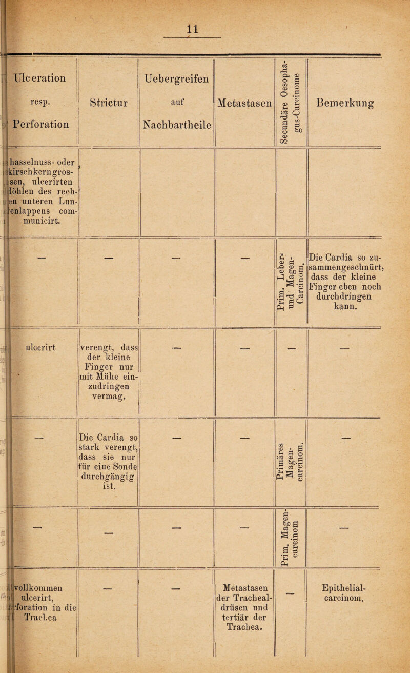 /V I 11 t 1 bl js Ulceration resp. Perforation ' Strictur j j Uebergreifen auf Nachbartheile Metastasen Secundäre Oesopha- gus-Carcinome Bemerkung i i ! Ifl i. !■ 1 hasselnuss- oder drschkern gros¬ sen, ulcerirten lohlen des reell¬ en unteren Lun- enlappens com- munieirt. 1 ■ i I | 1 _ Prim. Leber* und Magen- Carcinom. Die Cardia so zu¬ sammengeschnürt) dass der kleine Finger eben noch o durchdringen kann. I .. s % T ulcerirt . ■ . verengt, dass der kleine Finger nur mit Mühe ein¬ zudringen vermag. V 1 ■ 1 . Die Cardia so stark verengt, dass sie nur für eiue Sonde durchgängig ist. Primäres Magen- carcinom. 'ii' — — — Prim. Magen¬ careinom — 1 dH • I 'vollkommen [ ulcerirt, vforation in die ! Trachea 1 Bl <■*'< Metastasen der Tracheal- drüsen und tertiär der Trachea. — Epithelial- carcinom.