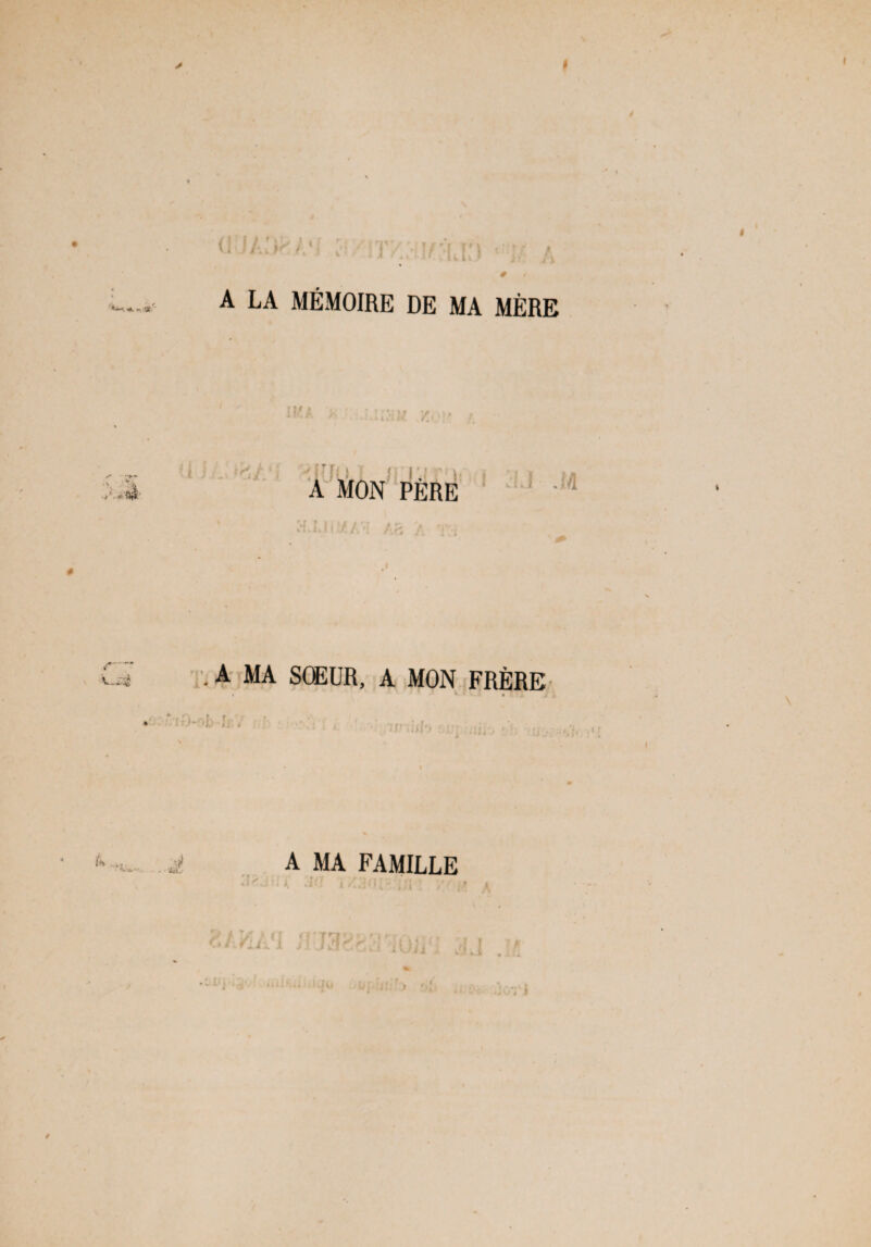 I I A LA MÉMOIRE DE MA MÈRE $ U' X * > ÿ [T ['j ’ t « ' « '. v, A MON PÈRE i ;i.i .m Ar U .A MA SOEUR, A MON FRÈRE unifh cv i* . •‘Va A MA FAMILLE :i^rc ;k> , A 4 I ? * ' *•-» • > X «b • -D < L . j : r > ' i * - .iori /