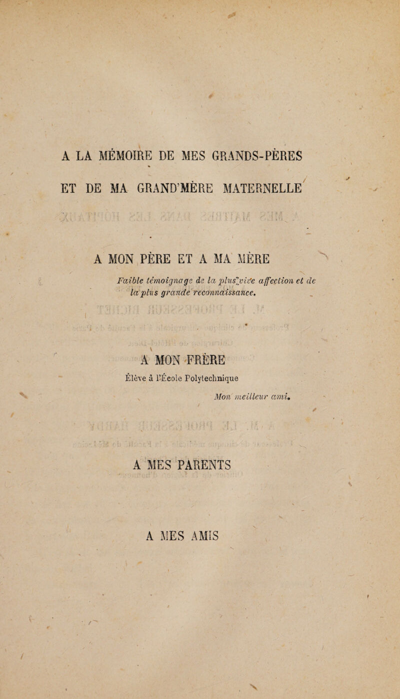 A LA MÉMOIRE DE MES GRANDS-PÈRES % ET DE MA GRAND’MÈRE MATERNELLE A MON PÈRE ET A MA MÈRE Faible témoignage de la pluslviife affection et de . lapins grande reconnaissance. A MON FRÈRE Élève à l’École Polytechnique Mon meilleur ami. A MES PARENTS A MES AMIS