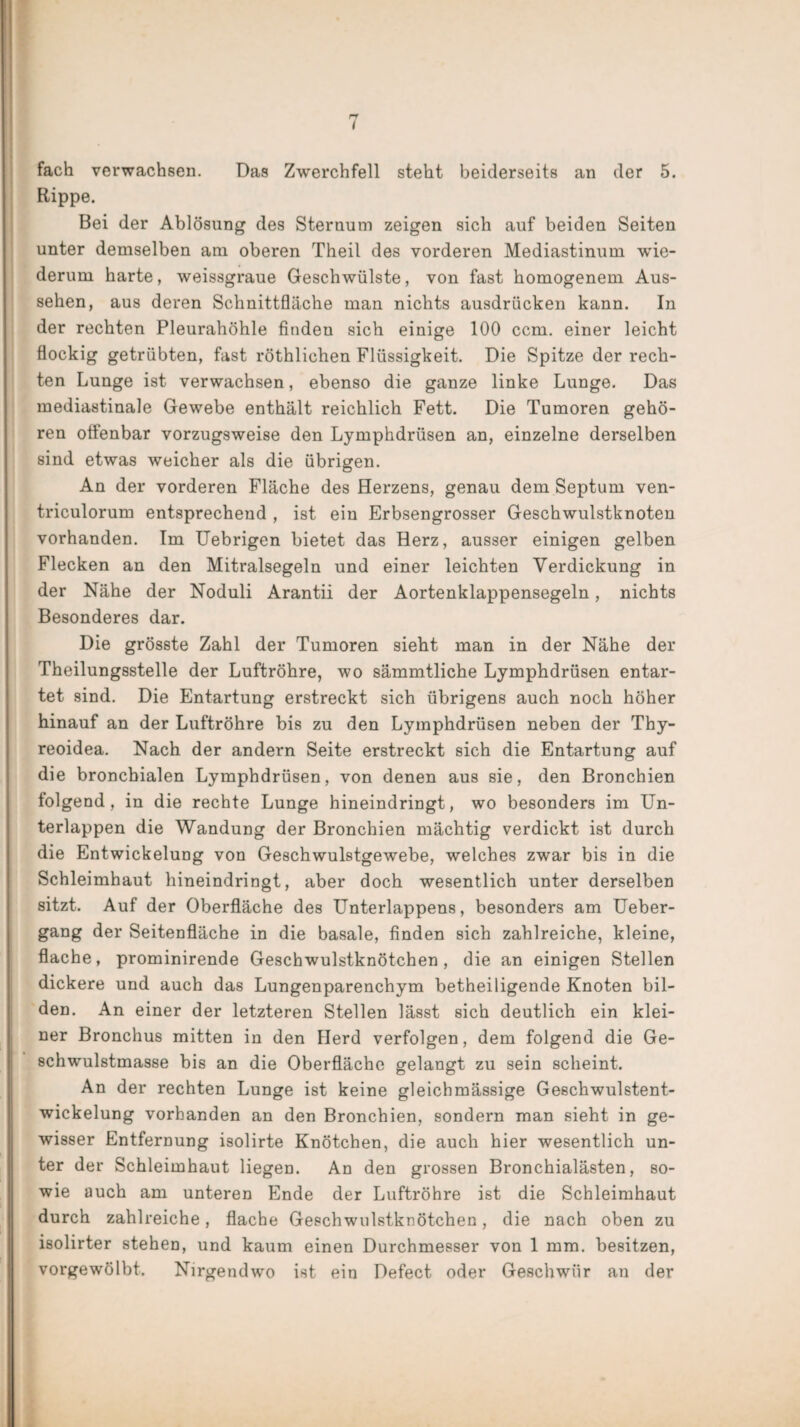 fach verwachsen. Das Zwerchfell steht beiderseits an der 5. Rippe. Bei der Ablösung des Sternum zeigen sich auf beiden Seiten unter demselben am oberen Theil des vorderen Mediastinum wie¬ derum harte, weissgraue Geschwülste, von fast homogenem Aus¬ sehen, aus deren Schnittfläche man nichts ausdrücken kann. In der rechten Pleurahöhle finden sich einige 100 ccm. einer leicht flockig getrübten, fast röthlichen Flüssigkeit. Die Spitze der rech¬ ten Lunge ist verwachsen, ebenso die ganze linke Lunge. Das mediastinale Gewebe enthält reichlich Fett. Die Tumoren gehö¬ ren offenbar vorzugsweise den Lymphdrüsen an, einzelne derselben sind etwas weicher als die übrigen. An der vorderen Fläche des Herzens, genau dem Septum ven- triculorum entsprechend , ist ein Erbsengrosser Geschwulstknoten vorhanden. Im Uebrigen bietet das Herz, ausser einigen gelben Flecken an den Mitralsegeln und einer leichten Verdickung in der Nähe der Noduli Arantii der Aortenklappensegeln, nichts Besonderes dar. Die grösste Zahl der Tumoren sieht man in der Nähe der Theilungsstelle der Luftröhre, wo sämmtliche Lymphdrüsen entar¬ tet sind. Die Entartung erstreckt sich übrigens auch noch höher hinauf an der Luftröhre bis zu den Lymphdrüsen neben der Thy¬ reoidea. Nach der andern Seite erstreckt sich die Entartung auf die bronchialen Lymphdrüsen, von denen aus sie, den Bronchien folgend, in die rechte Lunge hineindringt, wo besonders im Un¬ terlappen die Wandung der Bronchien mächtig verdickt ist durch die Entwickelung von Geschwulstgewebe, welches zwar bis in die Schleimhaut hineindringt, aber doch wesentlich unter derselben sitzt. Auf der Oberfläche des Unterlappens, besonders am Ueber- gang der Seitenfläche in die basale, finden sich zahlreiche, kleine, flache, prominirende Geschwulstknötchen, die an einigen Stellen dickere und auch das Lungenparenchym betheiligende Knoten bil¬ den. An einer der letzteren Stellen lässt sich deutlich ein klei¬ ner Bronchus mitten in den Herd verfolgen, dem folgend die Ge¬ schwulstmasse bis an die Oberfläche gelangt zu sein scheint. An der rechten Lunge ist keine gleichmässige Geschwulstent¬ wickelung vorhanden an den Bronchien, sondern man sieht in ge¬ wisser Entfernung isolirte Knötchen, die auch hier wesentlich un¬ ter der Schleimhaut liegen. An den grossen Bronchialästen, so¬ wie auch am unteren Ende der Luftröhre ist die Schleimhaut durch zahlreiche, flache Geschwulstknötchen, die nach oben zu isolirter stehen, und kaum einen Durchmesser von 1 mm. besitzen, vorgewölbt. Nirgendwo ist ein Defect oder Geschwür an der