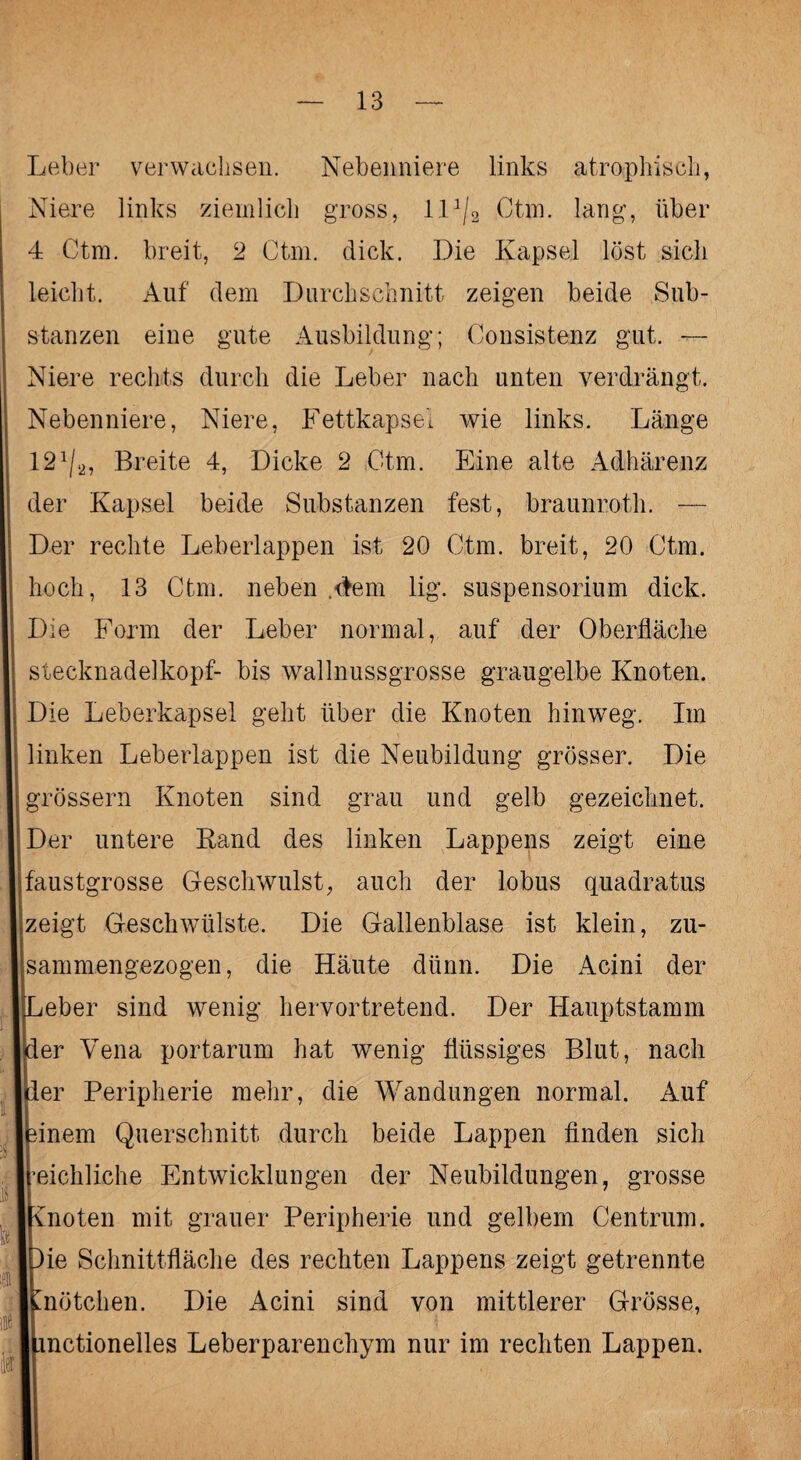 Leber verwachsen. Nebenniere links atrophisch, Niere links ziemlich gross, 111/2 Ctm. lang, über 4 Ctm. breit, 2 Ctm. dick. Die Kapsel löst sich leicht. Auf' dem Durchschnitt zeigen beide Sub¬ stanzen eine gute Ausbildung; Consistenz gut. — Niere rechts durch die Leber nach unten verdrängt. Nebenniere, Niere, Fettkapsel wie links. Länge 121/2, Breite 4, Dicke 2 Ctm. Eine alte Adhärenz der Kapsel beide Substanzen fest, braunroth. — Der rechte Leberlappen ist 20 Ctm. breit, 20 Ctm. hoch, 13 Ctm. neben .-dem lig. Suspensorium dick. Die Form der Leber normal, auf der Oberfläche Stecknadelkopf- bis wallnussgrosse graugelbe Knoten. Die Leberkapsel geht über die Knoten hinweg. Im linken Leberlappen ist die Neubildung grösser. Die grossem Knoten sind grau und gelb gezeichnet. Der untere Rand des linken Lappens zeigt eine faustgrosse Geschwulst, auch der lobus quadratus zeigt Geschwülste. Die Gallenblase ist klein, zu- jsammengezogen, die Häute dünn. Die Acini der Leber sind wenig hervortretend. Der Hauptstamm per Vena portarum hat wenig flüssiges Blut, nach per Peripherie mehr, die Wandungen normal. Auf einem Querschnitt durch beide Lappen finden sich reichliche Entwicklungen der Neubildungen, grosse Knoten mit grauer Peripherie und gelbem Centrum. Die Schnittfläche des rechten Lappens zeigt getrennte Knötchen. Die Acini sind von mittlerer Grösse, kmctionelles Leberparenchym nur im rechten Lappen.