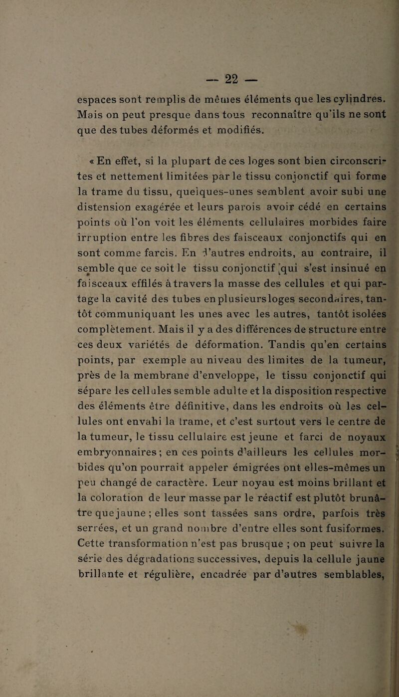 espaces sont remplis de mêmes éléments que les cylindres. Mais on peut presque dans tous reconnaître qu’ils ne sont que des tubes déformés et modifiés. « En effet, si la plupart de ces loges sont bien circonscri¬ tes et nettement limitées parle tissu conjonctif qui forme la trame du tissu, quelques-unes semblent avoir subi une distension exagérée et leurs parois avoir cédé en certains points où l’on voit les éléments cellulaires morbides faire irruption entre les fibres des faisceaux conjonctifs qui en sont comme farcis. En Eautres endroits, au contraire, il semble que ce soit le tissu conjonctif ’quî s’est insinué en faisceaux effilés àtraversla masse des cellules et qui par¬ tage la cavité des tubes enplusieursloges secondaires, tan¬ tôt communiquant les unes avec les autres, tantôt isolées complètement. Mais il y a des différences de structure entre ces deux variétés de déformation. Tandis qu’en certains points, par exemple au niveau des limites de la tumeur, près de la membrane d’enveloppe, le tissu conjonctif qui sépare les cellules semble adulte et la disposition respective des éléments être définitive, dans les endroits où les cel¬ lules ont envahi la trame, et c’est surtout vers le centre de la tumeur, le tissu cellulaire est jeune et farci de noyaux embryonnaires ; en ces points d’ailleurs les cellules mor¬ bides qu’on pourrait appeler émigrées ont elles-mêmes un peu changé de caractère. Leur noyau est moins brillant et la coloration de leur masse par le réactif est plutôt brun⬠tre que jaune ; elles sont tassées sans ordre, parfois très serrées, et un grand nombre d’entre elles sont fusiformes. Cette transformation n’est pas brusque ; on peut suivre la série des dégradations successives, depuis la cellule jaune brillante et régulière, encadrée par d’autres semblables,