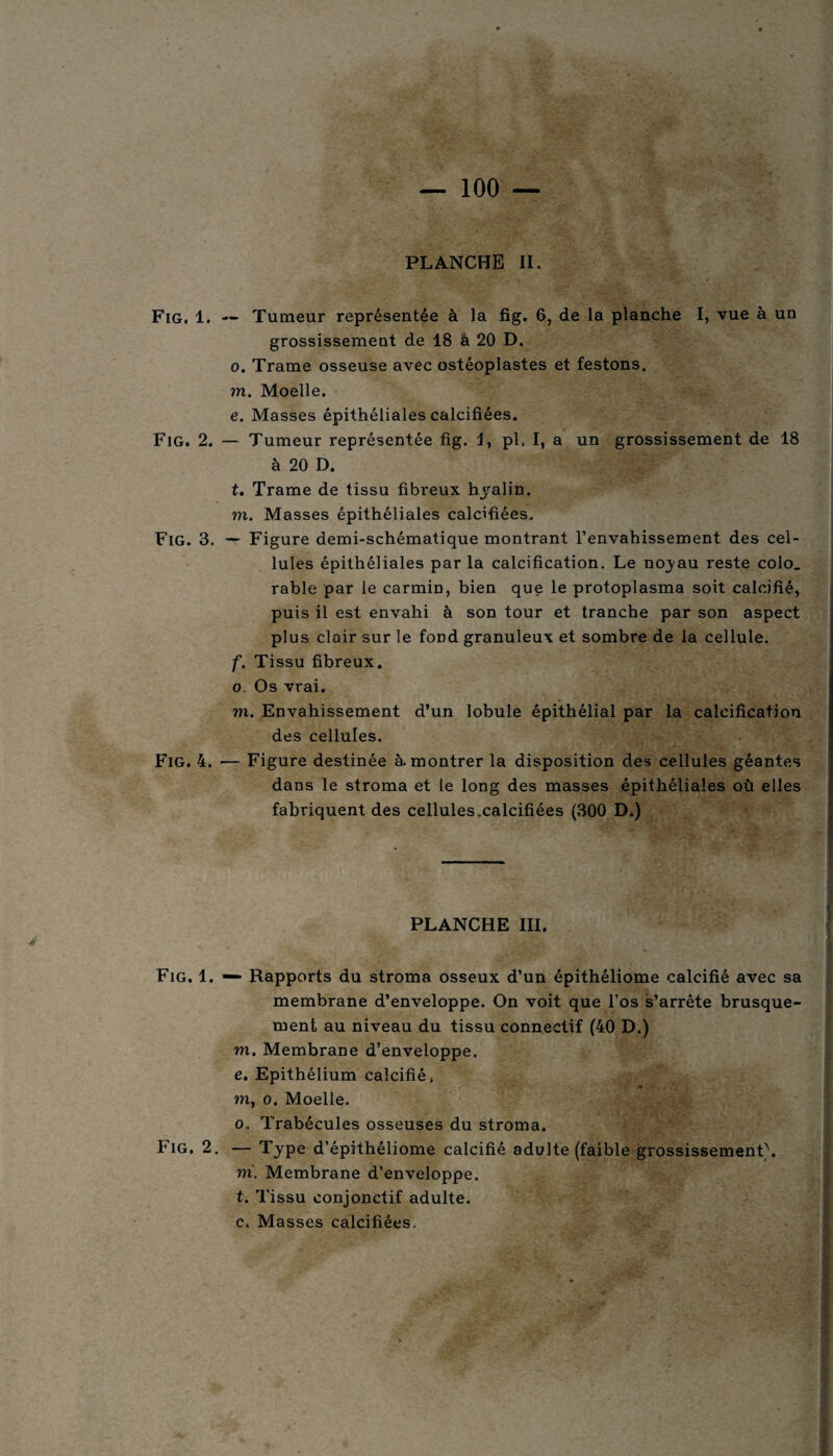 — 100 — Fig. 1. Fig. 2 Fig. 3 Fig. 4. Fig. 1 Fig. 2 PLANCHE II. — Tumeur représentée à la fig. 6, de la planche I, vue à un grossissement de 18 â 20 D. o. Trame osseuse avec ostéoplastes et festons. m. Moelle. e. Masses épithéliales calcifiées. — Tumeur représentée fig. J, pl. I, a un grossissement de 18 à 20 D. t. Trame de tissu fibreux hyalin. m. Masses épithéliales calcifiées. — Figure demi-schématique montrant l’envahissement des cel¬ lules épithéliales par la calcification. Le noyau reste colo. rable par le carmin, bien que le protoplasma soit calcifié, puis il est envahi à son tour et tranche par son aspect plus clair sur le fond granuleux et sombre de la cellule. f. Tissu fibreux, o. Os vrai. m. Envahissement d’un lobule épithélial par la calcification des cellules. — Figure destinée à. montrer la disposition des cellules géantes dans le stroma et le long des masses épithéliales où elles fabriquent des cellules.calcifiées (300 D.) PLANCHE III. — Rapports du stroma osseux d’un épithéliome calcifié avec sa membrane d’enveloppe. On voit que l’os s’arrête brusque¬ ment au niveau du tissu connectif (40 D.) m. Membrane d’enveloppe, e. Epithélium calcifié, m, o. Moelle. o. Trabécules osseuses du stroma. . — Type d’épithéliome calcifié adulte (faible grossissement''. m. Membrane d’enveloppe, t. Tissu conjonctif adulte, c. Masses calcifiées.