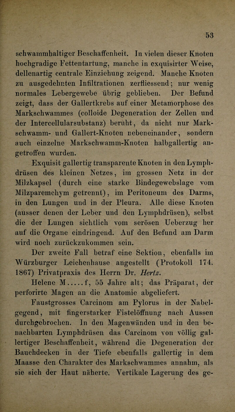 schwammhaltiger Beschaffenheit. In vielen dieser Knoten hochgradige Fettentartung, manche in exquisirter Weise, dellenartig centrale Einziehung zeigend. Manche Knoten zu ausgedehnten Infiltrationen zerfliessend; nur Avenig normales Lebergewebe übrig geblieben. Der Befund zeigt, dass der Gallertkrebs auf einer Metamorphose des Markschwammes (colloide Degeneration der Zellen und der Intercellularsubstanz) beruht, da nicht nur Mark¬ schwamm- und Gallert-Knoten nebeneinander, sondern auch einzelne Markschwamm-Knoten halbgallertig an¬ getroffen wurden. Exquisit gallertig transparente Knoten in den Lympli- drüsen des kleinen Netzes, im grossen Netz in der Milzkapsel (durch eine starke Bindegewebslage vom Milzparemcliym getrennt), im Peritoneum des Darms, in den Lungen und in der Pleura. Alle diese Knoten (ausser denen der Leber und den Lymphdrüsen), selbst die der Lungen sichtlich vom serösen Ueberzug her auf die Organe eindringend. Auf den Befund am Darm wird noch zurückzukommen sein. Der zweite Fall betraf eine Sektion, ebenfalls im Würzburger Leichenhause angestellt (Protokoll 174. 1867) Privatpraxis des Herrn Dr. Hertz. Helene M.f, 55 Jahre alt; das Präparat, der perforirte Magen an die Anatomie abgeliefert. Faustgrosses Carcinom am Pylorus in der Nabel¬ gegend , mit fingerstarker Fistelöffnung nach Aussen durchgebrochen, ln den Magenwänden und in den be¬ nachbarten Lymphdrüsen das Carcinom von völlig gal¬ lertiger Beschaffenheit, während die Degeneration der Bauchdecken in der Tiefe ebenfalls gallertig in dem Maasse den Charakter des Markschwammes annahm, als sie sich der Haut näherte. Vertikale Lagerung des ge-