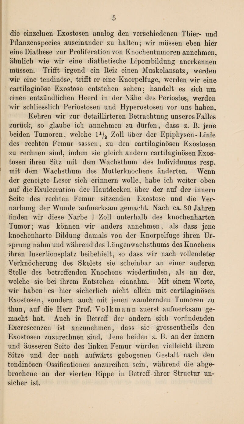 die einzelnen Exostosen analog den verschiedenen Thier- und Pflanzenspecies auseinander zu halten; wir müssen eben hier eine Diathese zur Proliferation von Knochentumoren annehmen, ähnlich wie wir eine diathetische Lipombildung anerkennen müssen. Trifft irgend ein Reiz einen Muskelansatz, werden wir eine tendinöse, trifft er eine Knorpelfuge, werden wir eine cartilaginöse Exostose entstehen sehen; handelt es sich um einen entzündlichen Heerd in der Nähe des Periostes, werden wir schliesslich Periostosen und Hyperostosen vor uns haben. Kehren wir zur detaillirteren Betrachtung unseres Falles zurück, so glaube ich annehmen zu dürfen, dass z. B. jene beiden Tumoren, welche l1/^ Zoll über der Epiphysen-Linie des rechten Femur sassen, zu den cartilaginösen Exostosen zu rechnen sind, indem sie gleich andern cartilaginösen Exos¬ tosen ihren Sitz mit dem Wachsthum des Individuums resp. mit dem Wachsthum des Mutterknochens änderten. Wenn der geneigte Leser sich erinnern wolle, habe ich weiter oben auf die Exulceration der Hautdecken über der auf der innern Seite des rechten Femur sitzenden Exostose und die Ver¬ narbung der Wunde aufmerksam gemacht. Nach ca. 30 Jahren finden wir diese Narbe 1 Zoll unterhalb des knochenharten Tumor; was können wir anders annehmen, als dass jene knochenharte Bildung damals von der Knorpelfuge ihren Ur¬ sprung nahm und während des Längenwachsthums des Knochens ihren Insertionsplatz beibehielt, so dass wir nach vollendeter Verknöcherung des Skelets sie scheinbar an einer anderen Stelle des betreffenden Knochens wiederfinden, als an. der, welche sie bei ihrem Entstehen einnahm. Mit einem Worte, wir haben es hier sicherlich nicht allein mit cartilaginösen Exostosen, sondern auch mit jenen wandernden Tumoren zu thun, auf die Herr Prof. Volk mann zuerst aufmerksam ge¬ macht hat. Auch in Betreff der andern sich vorfindenden Excrescenzen ist anzunehmen, dass sie grossentheils den Exostosen zuzurechnen sind. Jene beiden z. B. an der innern und äusseren Seite des linken Femur würden vielleicht ihrem Sitze und der nach aufwärts gebogenen Gestalt nach den tendinösen Ossificationen anzureihen sein, während die abge¬ brochene an der vierten Rippe in Betreff ihrer Structur un¬ sicher ist.