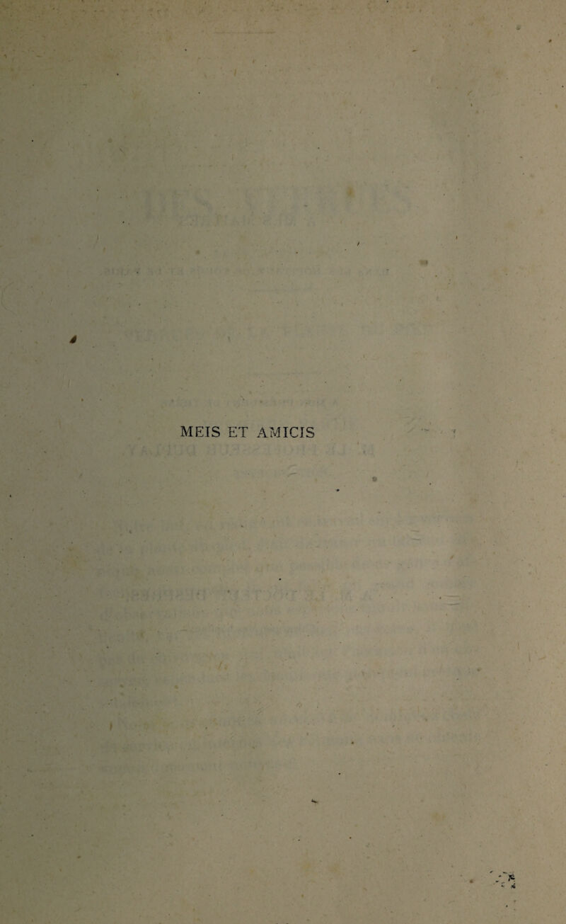 •V y J ê *v • • » MEIS ET AMICIS \ ' /;■ 1 i ■y * Jk*