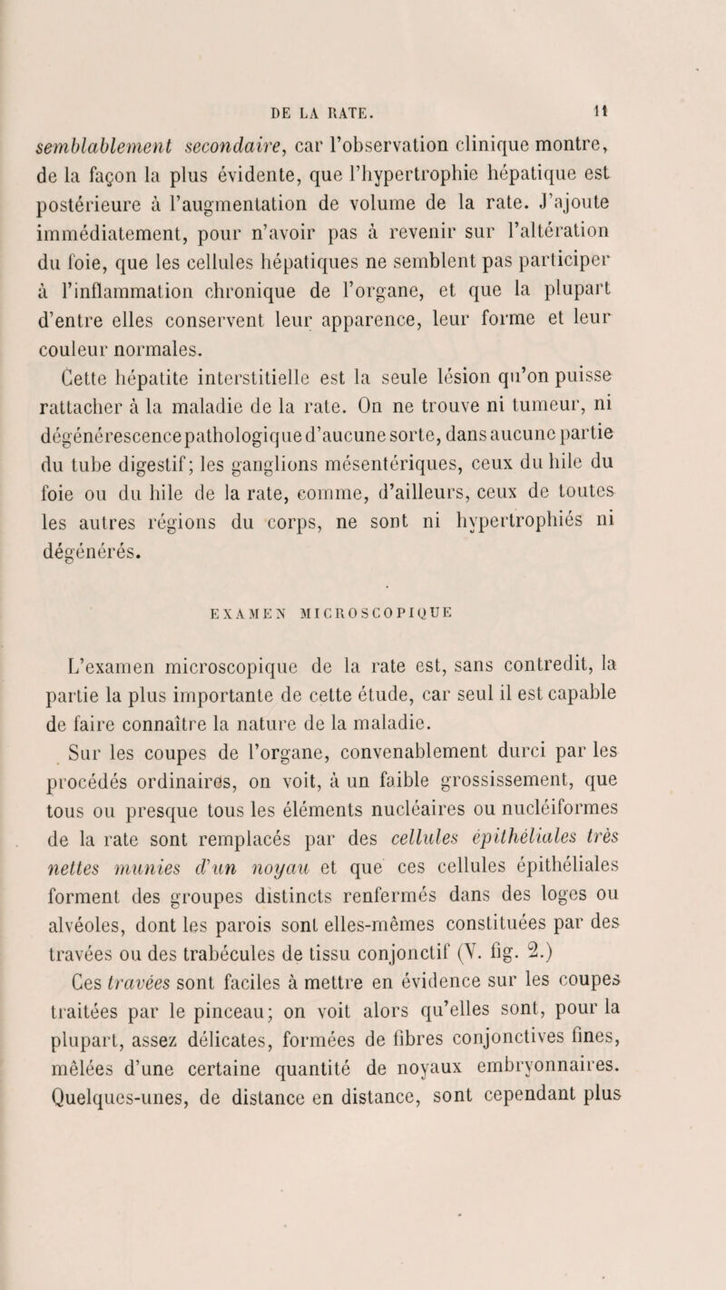 semblablement secondaire, car l’observation clinique montre, de la façon la plus évidente, que l’hypertrophie hépatique est postérieure à l’augmentation de volume de la rate. J’ajoute immédiatement, pour n’avoir pas à revenir sur l’altération du foie, que les cellules hépatiques ne semblent pas participer à l’inflammation chronique de l’organe, et que la plupart d’entre elles conservent leur apparence, leur forme et leur couleur normales. Cette hépatite interstitielle est la seule lésion qu’on puisse rattacher à la maladie de la rate. On ne trouve ni tumeur, ni dégénérescence pathologique d’aucune sorte, dans aucune partie du tube digestif ; les ganglions mésentériques, ceux du hile du foie ou du hile de la rate, comme, d’ailleurs, ceux de toutes les autres régions du corps, ne sont ni hypertrophiés ni dégénérés. EXAMEN MICROSCOPIQUE L’examen microscopique de la rate est, sans contredit, la partie la plus importante de cette étude, car seul il est capable de faire connaître la nature de la maladie. Sur les coupes de l’organe, convenablement durci par les procédés ordinaires, on voit, à un faible grossissement, que tous ou presque tous les éléments nucléaires ou nucléiformes de la rate sont remplacés par des cellules épithéliales très nettes munies d'un noyau et que ces cellules épithéliales forment des groupes distincts renfermés dans des loges ou alvéoles, dont les parois sont elles-mêmes constituées par des travées ou des trabécules de tissu conjonctif (Y. fig. 2.) Ces travées sont faciles à mettre en évidence sur les coupes traitées par le pinceau; on voit alors qu’elles sont, pour la plupart, assez délicates, formées de fibres conjonctives fines, mêlées d’une certaine quantité de noyaux embryonnaires. Quelques-unes, de distance en distance, sont cependant plus