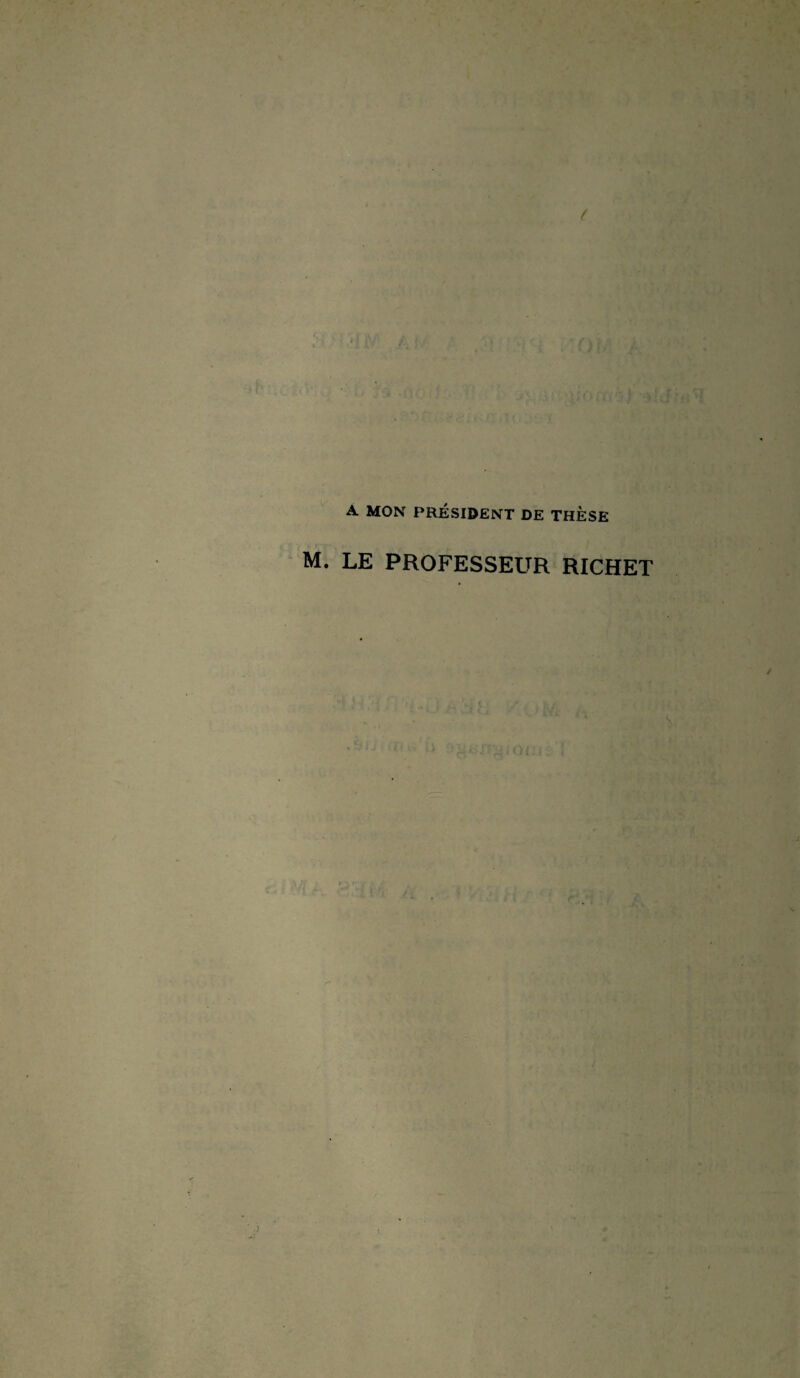 A MON PRÉSIDENT DE THÈSE M. LE PROFESSEUR RICHET