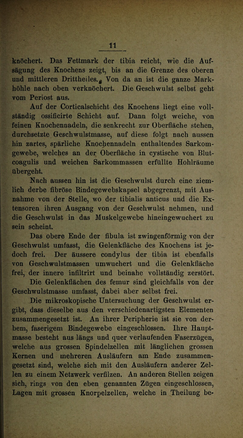 knöchert. Das Fefctmark der tibia reicht, wie die Auf¬ sagung des Knochens zeigt, bis an die Grenze des oberen und mittleren Drittheiles.^ Von da an ist die ganze Mark¬ höhle nach oben verknöchert. Die Geschwulst selbst geht vom Periost aus. Auf der Corticalschicht des Knochens liegt eine voll¬ ständig ossificirte Schicht auf. Dann folgt weiche, von feinen Knochennadeln, die senkrecht zur Oberfläche stehen, durchsetzte Geschwulstmasse, auf diese folgt nach aussen hin zartes, spärliche Knocjiennadeln enthaltendes Sarkom¬ gewebe, welches an der Oberfläche in cystische von Blut- coagulis und weichen Sarkommassen erfüllte Hohlräume übergeht. Nach aussen hin ist die Geschwulst durch eine ziem¬ lich derbe fibröse Bindegewebskapsel abgegrenzt, mit Aus¬ nahme von der Stelle, wo der tibialis anticus und die Ex¬ tensoren ihren Ausgang von der Geschwulst nehmen, und die Geschwulst in das Muskelgewebe hineingewuchert zu sein scheint. Das obere Ende der fibula ist zwingenförmig von der Geschwulst umfasst, die Gelenkfläche des Knochens ist je¬ doch frei. Der äussere condylus der tibia ist ebenfalls von Geschwulstmassen umwuchert und die Gelenkfläche frei, der innere infiltrirt und beinahe vollständig zerstört. Die Gelenkflächen des femur sind gleichfalls von der Geschwulstmasse umfasst, dabei aber selbst frei. Die mikroskopische Untersuchung der Geschwulst er¬ gibt, dass dieselbe aus den verschiedenartigsten Elementen zusammengesetzt ist. An ihrer Peripherie ist sie von der¬ bem, faserigem Bindegewebe eingeschlossen. Ihre Haupt¬ masse besteht aus längs und quer verlaufenden Faserzügen, welche aus grossen Spindelzellen mit länglichen grossen Kernen und mehreren Ausläufern am Ende zusammen¬ gesetzt sind, welche sich mit den Ausläufern anderer Zel¬ len zu einem Netzwerk verfilzen. An anderen Stellen zeigen sich, rings von den eben genannten Zügen eingeschlossen, Lagen mit grossen Knorpelzellen, welche in Theilung be-