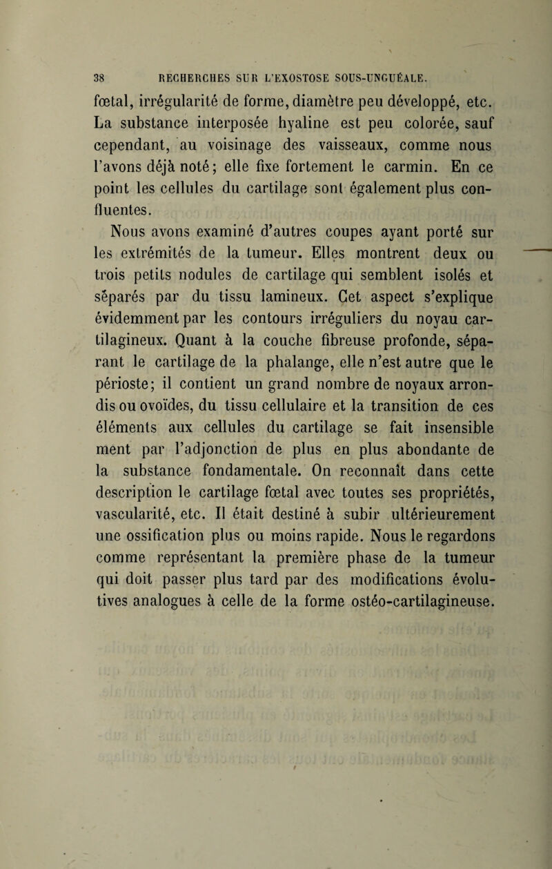 fœtal, irrégularité de forme, diamètre peu développé, etc. La substance interposée hyaline est peu colorée, sauf cependant, au voisinage des vaisseaux, comme nous l’avons déjà noté; elle fixe fortement le carmin. En ce point les cellules du cartilage sont également plus con¬ fluentes. Nous avons examiné d’autres coupes ayant porté sur les extrémités de la tumeur. Elles montrent deux ou « trois petits nodules de cartilage qui semblent isolés et séparés par du tissu lamineux. Cet aspect s’explique évidemment par les contours irréguliers du noyau car¬ tilagineux. Quant à la couche fibreuse profonde, sépa¬ rant le cartilage de la phalange, elle n’est autre que le périoste; il contient un grand nombre de noyaux arron¬ dis ou ovoïdes, du tissu cellulaire et la transition de ces éléments aux cellules du cartilage se fait insensible ment par l’adjonction de plus en plus abondante de la substance fondamentale. On reconnaît dans cette description le cartilage fœtal avec toutes ses propriétés, vascularité, etc. Il était destiné à subir ultérieurement une ossification plus ou moins rapide. Nous le regardons comme représentant la première phase de la tumeur qui doit passer plus tard par des modifications évolu¬ tives analogues à celle de la forme ostéo-cartilagineuse.