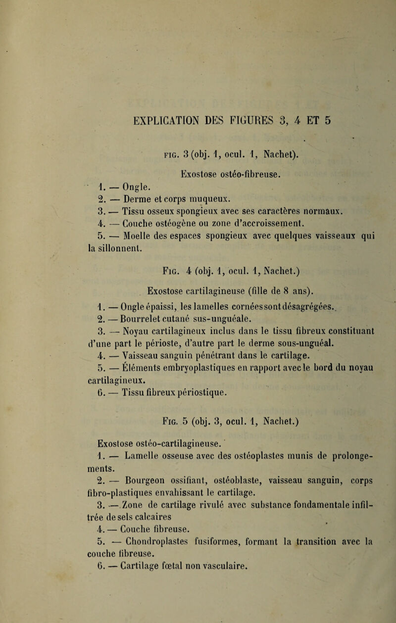 fig. 3(obj. I, ocul. 1, Nachet). Exostose ostéo-fibreuse. 1. — Ongle. 2. — Derme et corps muqueux. 3. — Tissu osseux spongieux avec ses caractères normaux. 4. — Couche ostéogène ou zone d’accroissement. 5. — Moelle des espaces spongieux avec quelques vaisseaux qui la sillonnent. Fig. 4 (obj. 1, ocul. 1, Nachet.) Exostose cartilagineuse (fille de 8 ans). 1. —Ongle épaissi, les lamelles cornées sont désagrégées.. 2. — Bourrelet cutané sus-unguéale. 3. — Noyau cartilagineux inclus dans le tissu fibreux constituant d’une part le périoste, d’autre part le derme sous-unguéal. 4. — Vaisseau sanguin pénétrant dans le cartilage. 5. — Éléments embryoplastiques en rapport avec le bord du noyau cartilagineux. 6. — Tissu fibreux périostique. Fig. 5 (obj. 3, ocul. 1, Nachet.) Exostose ostéo-cartilagineuse. 1. — Lamelle osseuse avec des ostéoplastes munis de prolonge¬ ments. 2. — Bourgeon ossifiant, ostéoblaste, vaisseau sanguin, corps fibro-plastiques envahissant le cartilage. 3. — Zone de cartilage rivulé avec substance fondamentale infil¬ trée de sels calcaires 9 4. — Couche fibreuse. 5. — Chondroplastes fusiformes, formant la transition avec la couche übreuse. 6. — Cartilage foetal non vasculaire.