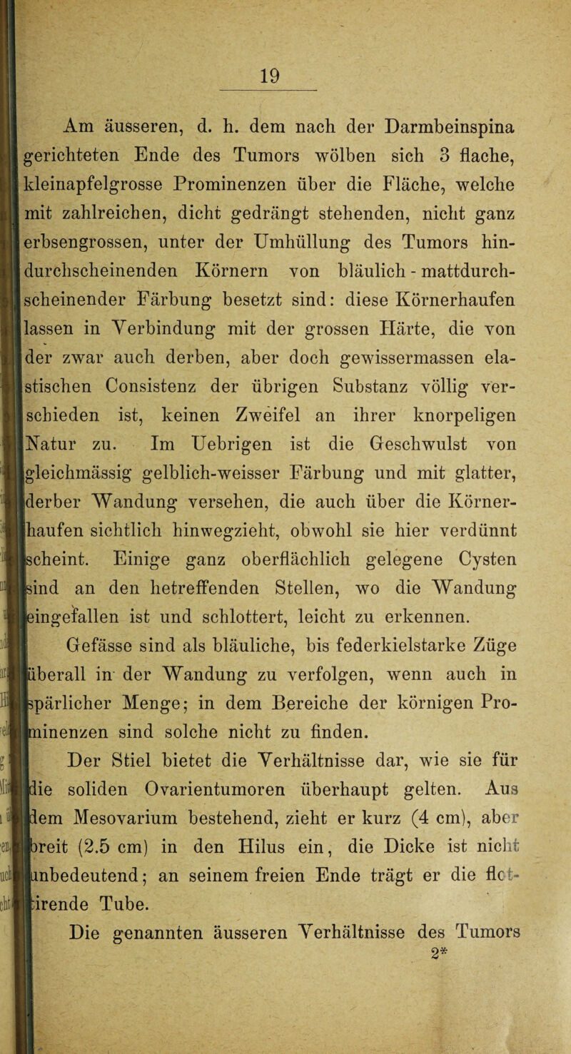 i Am äusseren, d. h. dem nach der Darmbeinspina gerichteten Ende des Tumors wölben sich 3 flache, kleinapfelgrosse Prominenzen über die Fläche, welche mit zahlreichen, dicht gedrängt stehenden, nicht ganz erbsengrossen, unter der Umhüllung des Tumors hin¬ durchscheinenden Körnern von bläulich - mattdurch¬ scheinender Färbung besetzt sind: diese Körnerhaufen lassen in Verbindung mit der grossen Härte, die von 5der zwar auch derben, aber doch gewissermassen ela¬ stischen Consistenz der übrigen Substanz völlig ver¬ schieden ist, keinen Zweifel an ihrer knorpeligen Natur zu. Im Uebrigen ist die Geschwulst von jgleichmässig gelblich-weisser Färbung und mit glatter, [derber Wandung versehen, die auch über die Körner¬ lhaufen sichtlich hinwegzieht, obwohl sie hier verdünnt scheint. Einige ganz oberflächlich gelegene Cysten sind an den betreffenden Stellen, wo die Wandung üngefallen ist und schlottert, leicht zu erkennen. Gefässe sind als bläuliche, bis federkielstarke Züge überall in der Wandung zu verfolgen, wenn auch in spärlicher Menge; in dem Bereiche der körnigen Pro¬ linenzen sind solche nicht zu finden. Der Stiel bietet die Verhältnisse dar, wie sie für lie soliden Ovarientumoren überhaupt gelten. Aus lern Mesovarium bestehend, zieht er kurz (4 cm), aber >reit (2.5 cm) in den Hilus ein, die Dicke ist nicht mbedeutend; an seinem freien Ende trägt er die flc i- ■irende Tube. Die genannten äusseren Verhältnisse des Tumors 2*